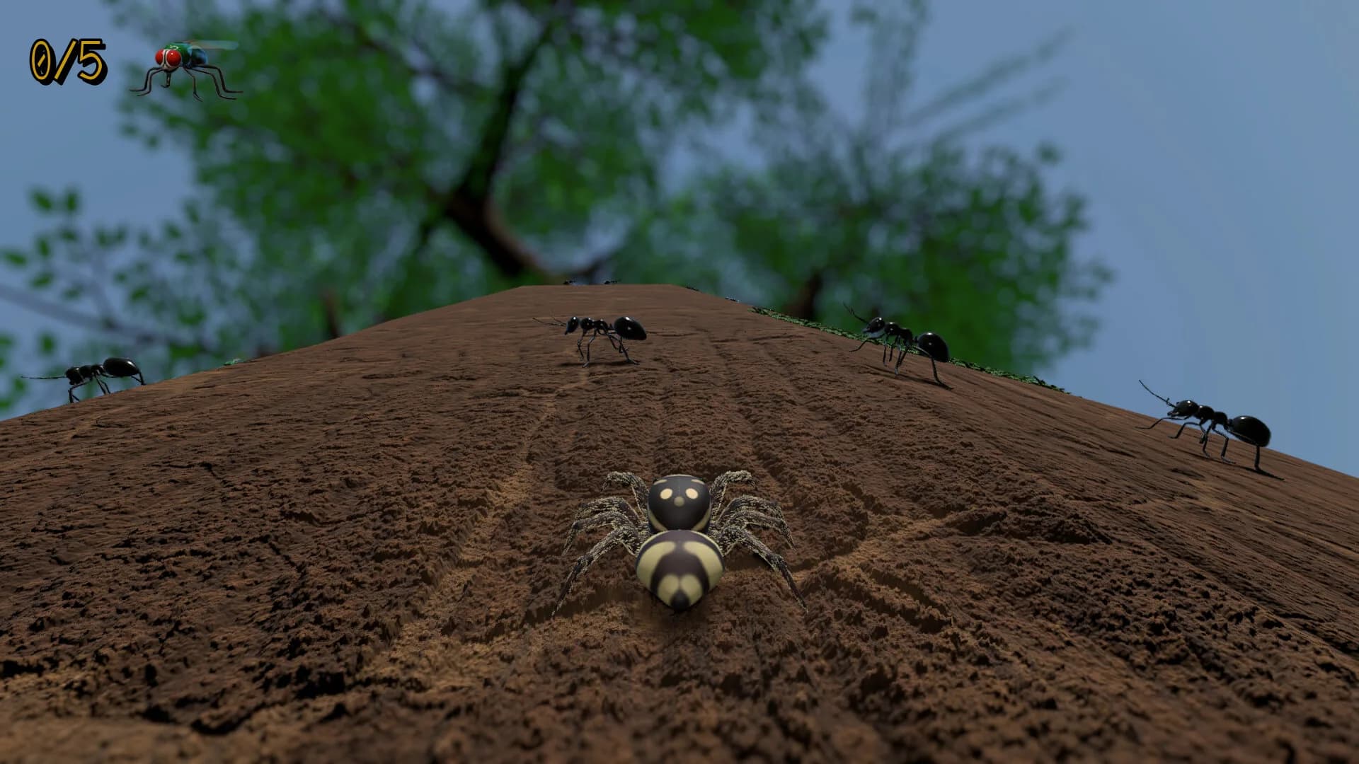 A little Jumpingspider's Garden Adventure (Day 1+2) görsel 10