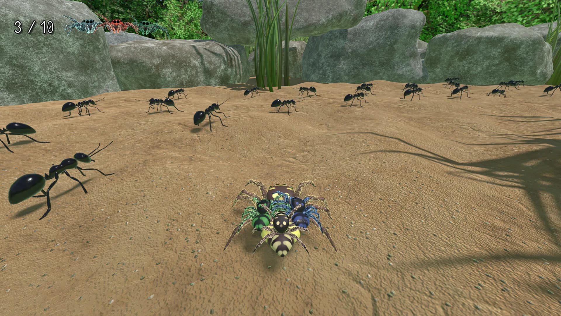 A little Jumpingspider's Garden Adventure (Day 1+2) görsel 11