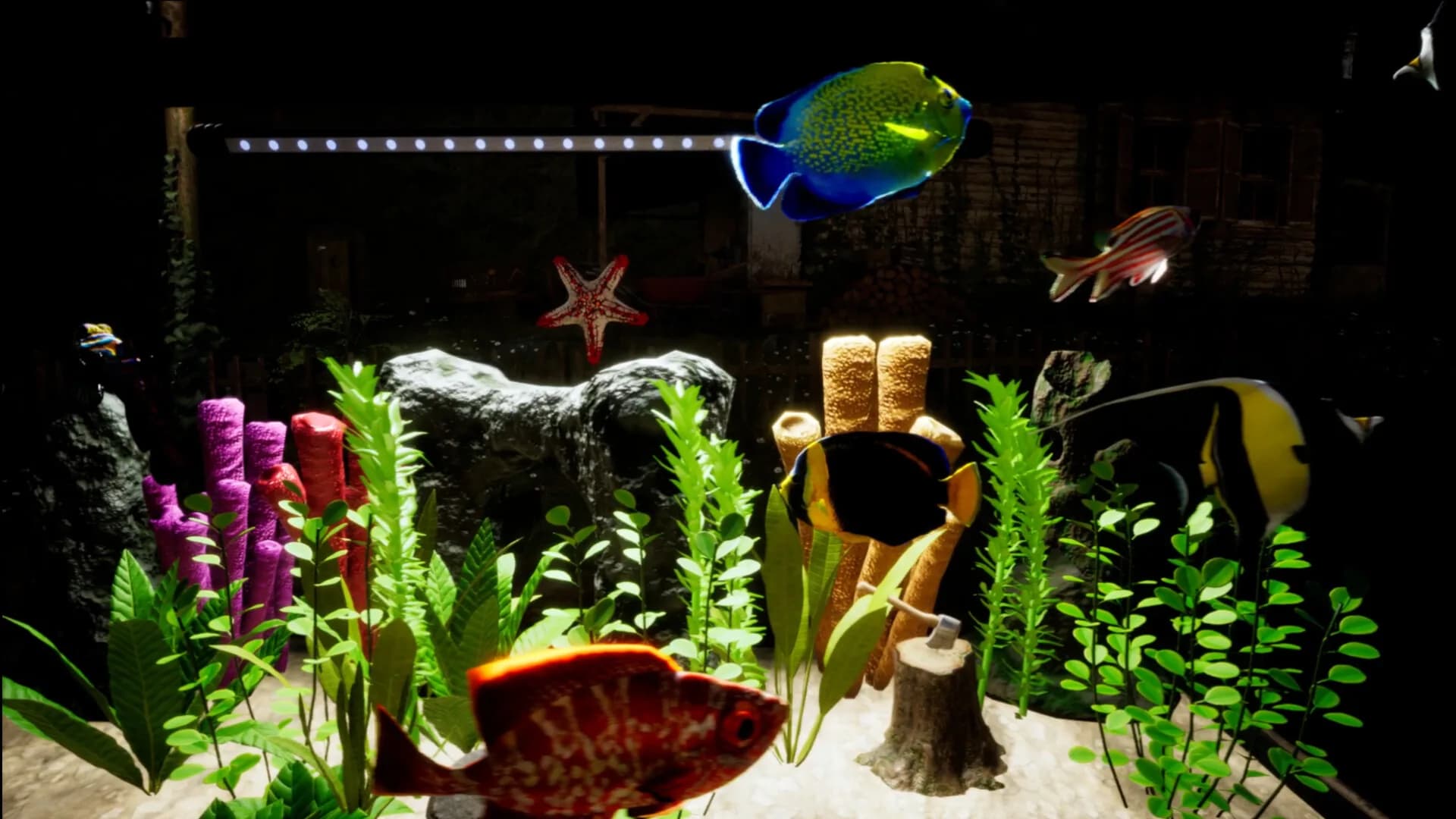 Fish Fortune görsel 5