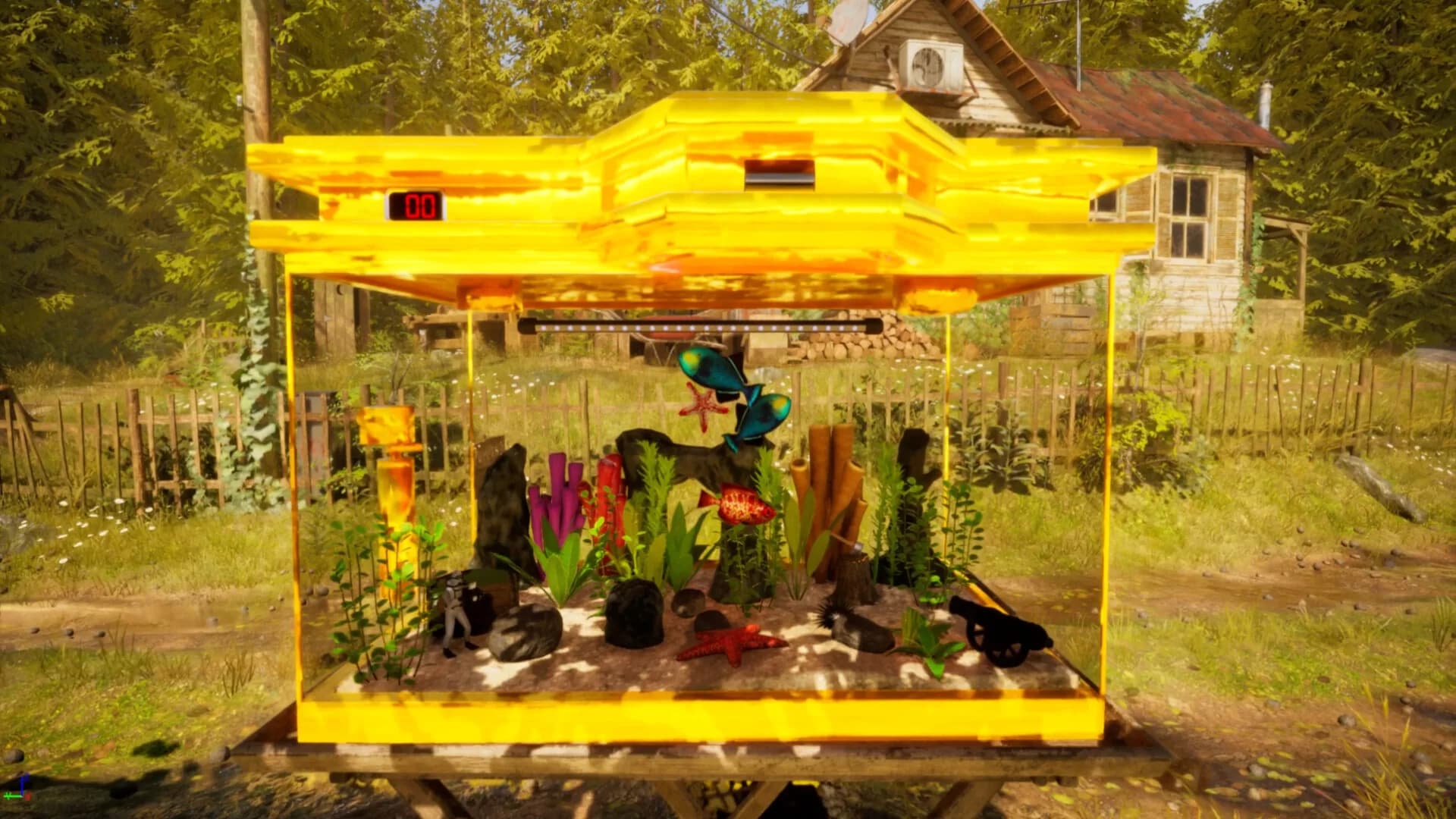 Fish Fortune görsel 9