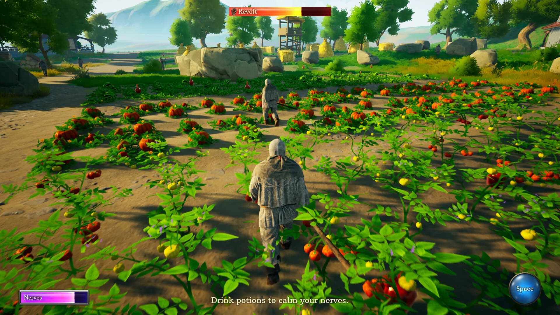 Peasant or Rebel? görsel 2