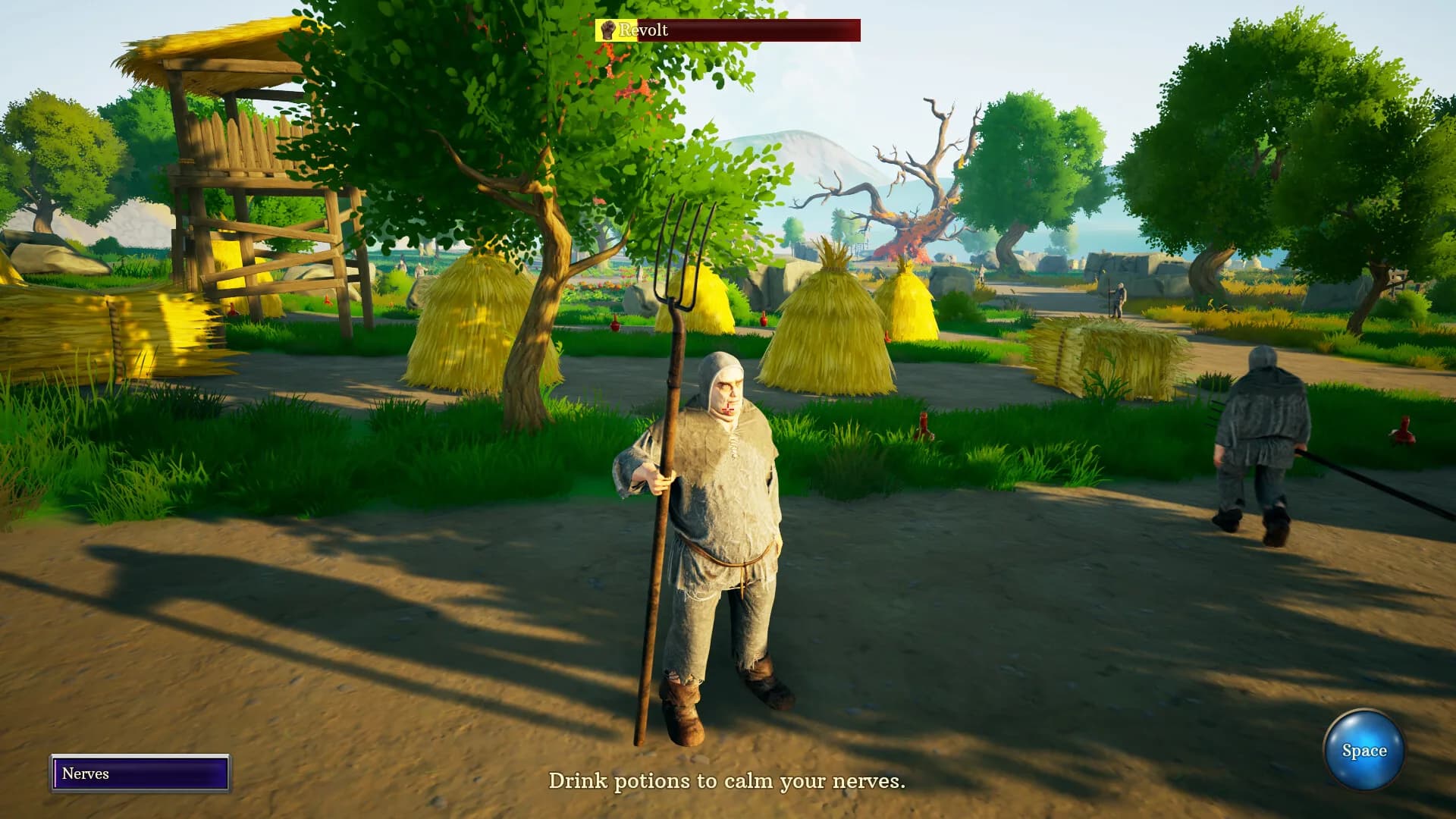 Peasant or Rebel? görsel 4
