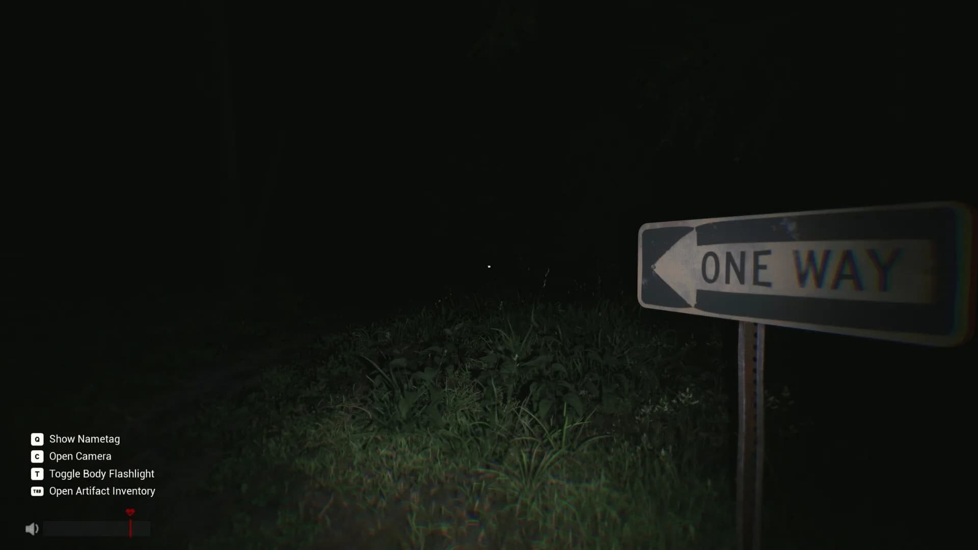 Sector 13: Haunted Woods görsel 3