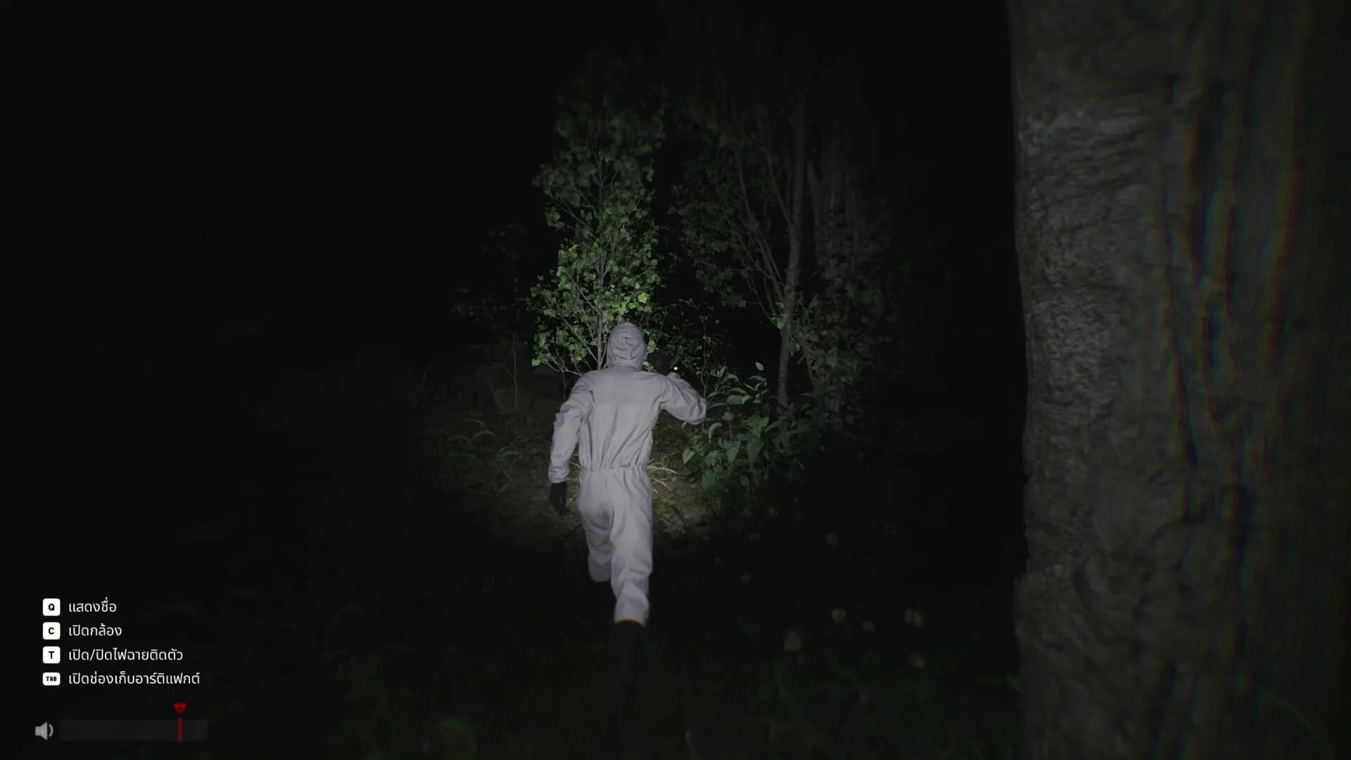 Sector 13: Haunted Woods görsel 13