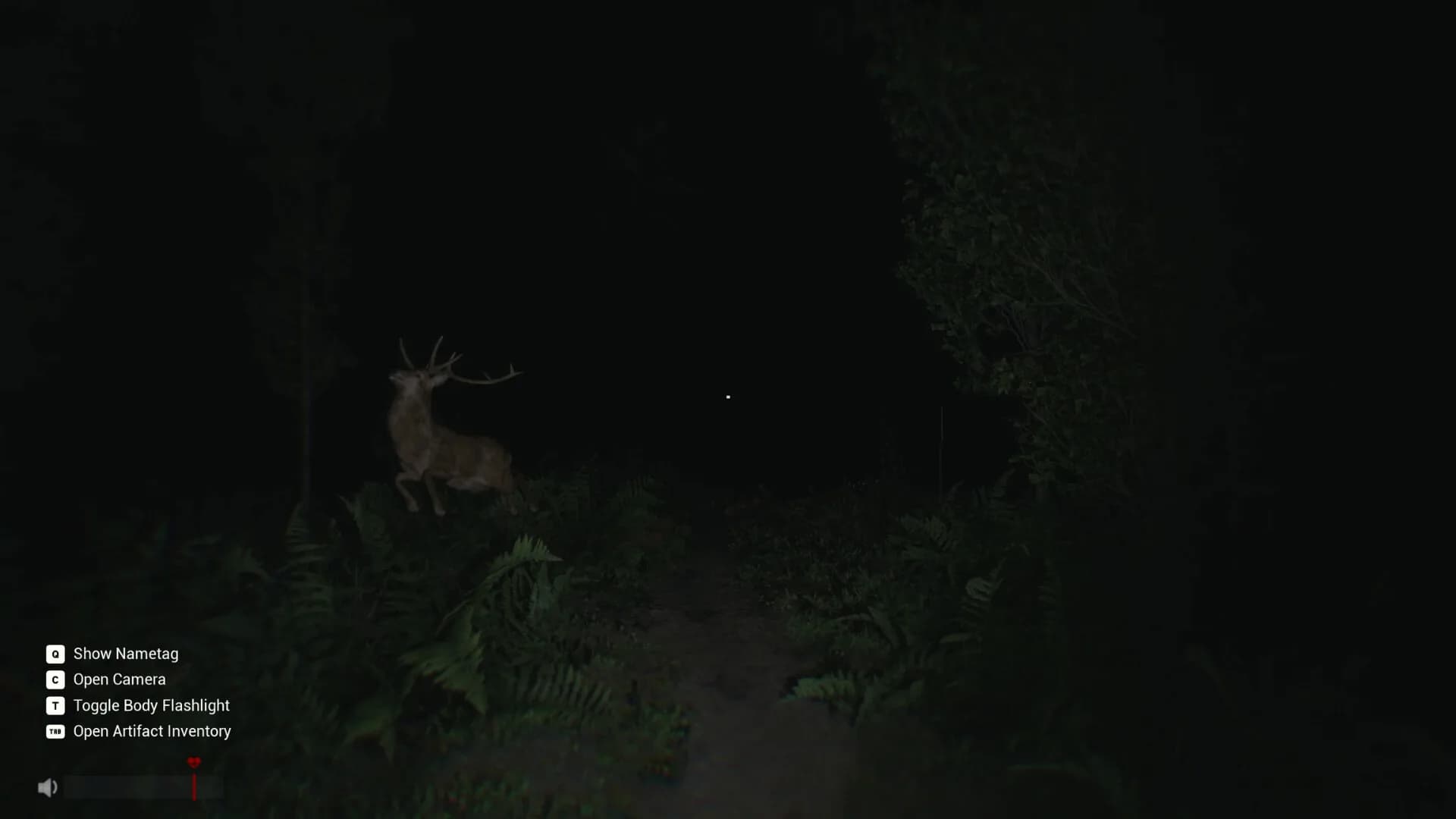 Sector 13: Haunted Woods görsel 9