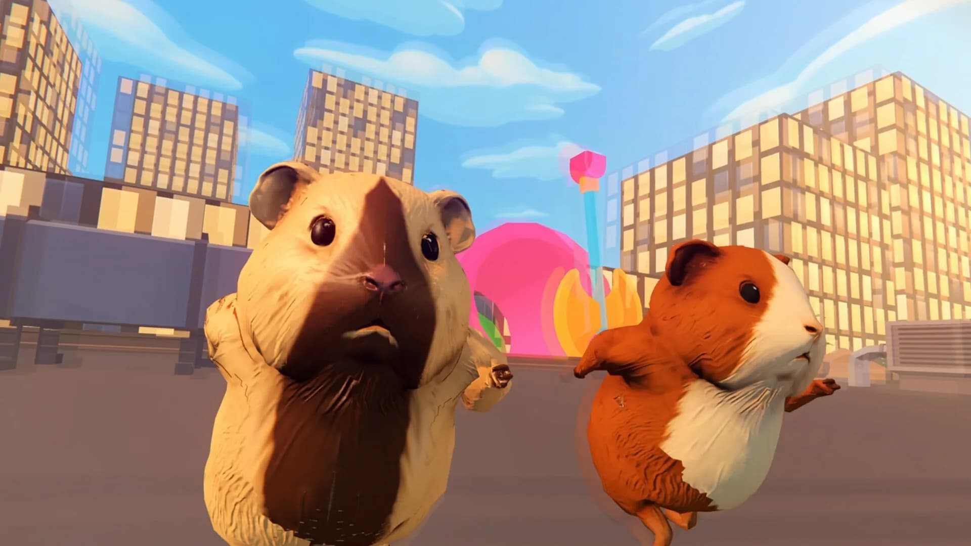Guinea Pig Runaway Together görsel 2