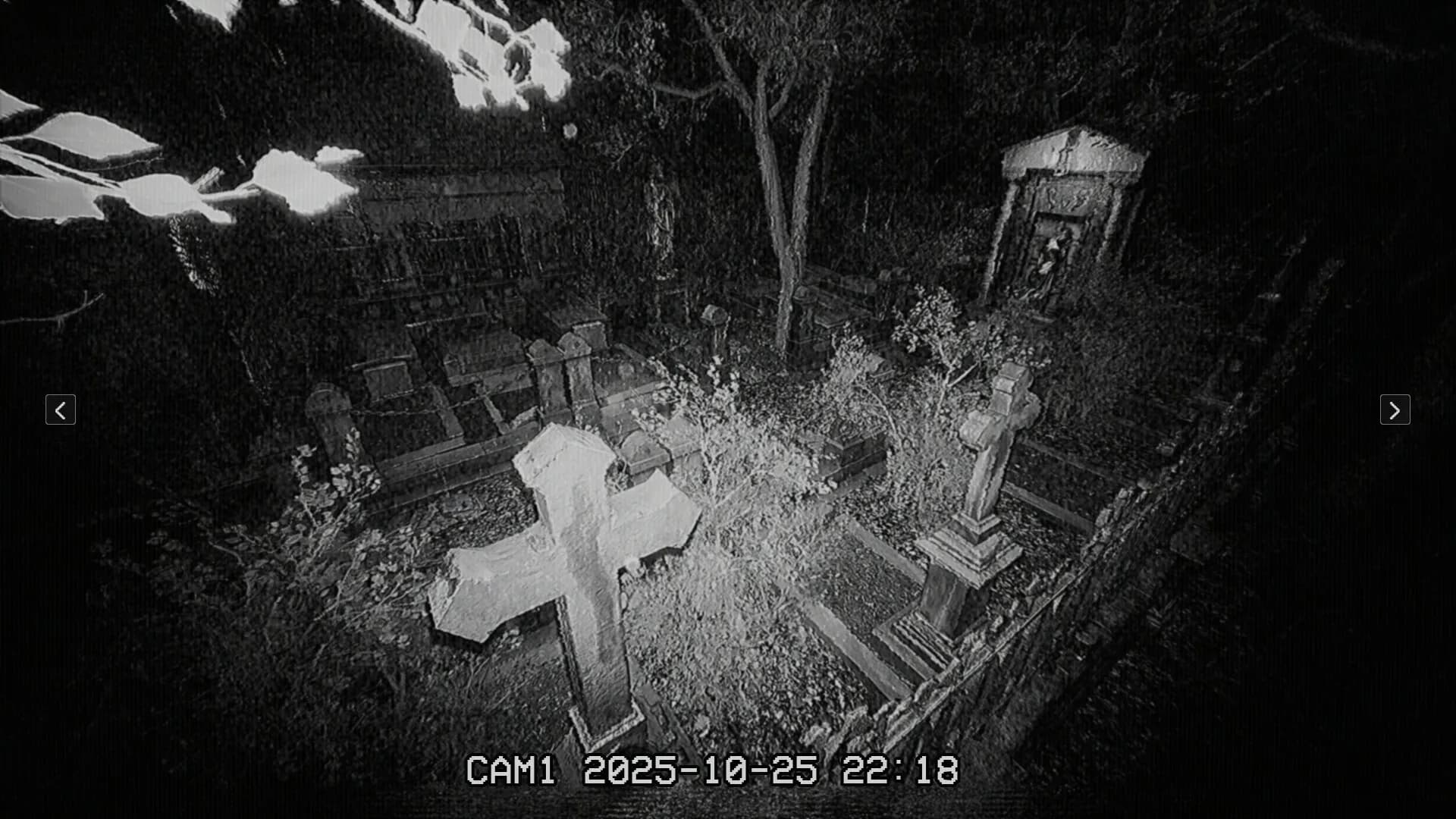 The Cemetery Shift | 墓地の夜勤 görsel 2
