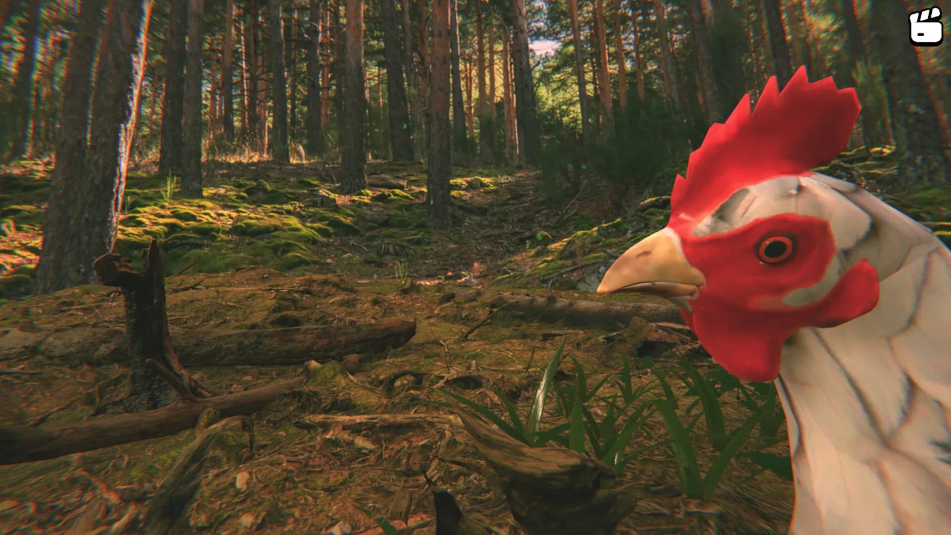 Catch the Chiken görsel 3