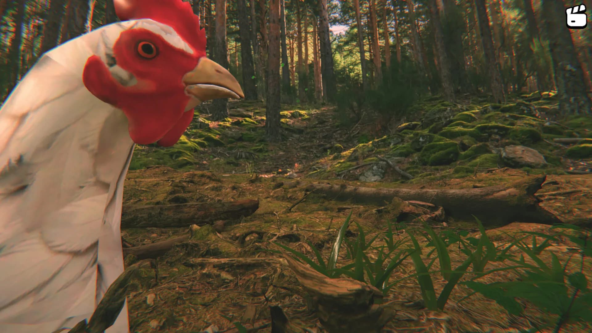 Catch the Chiken görsel 4