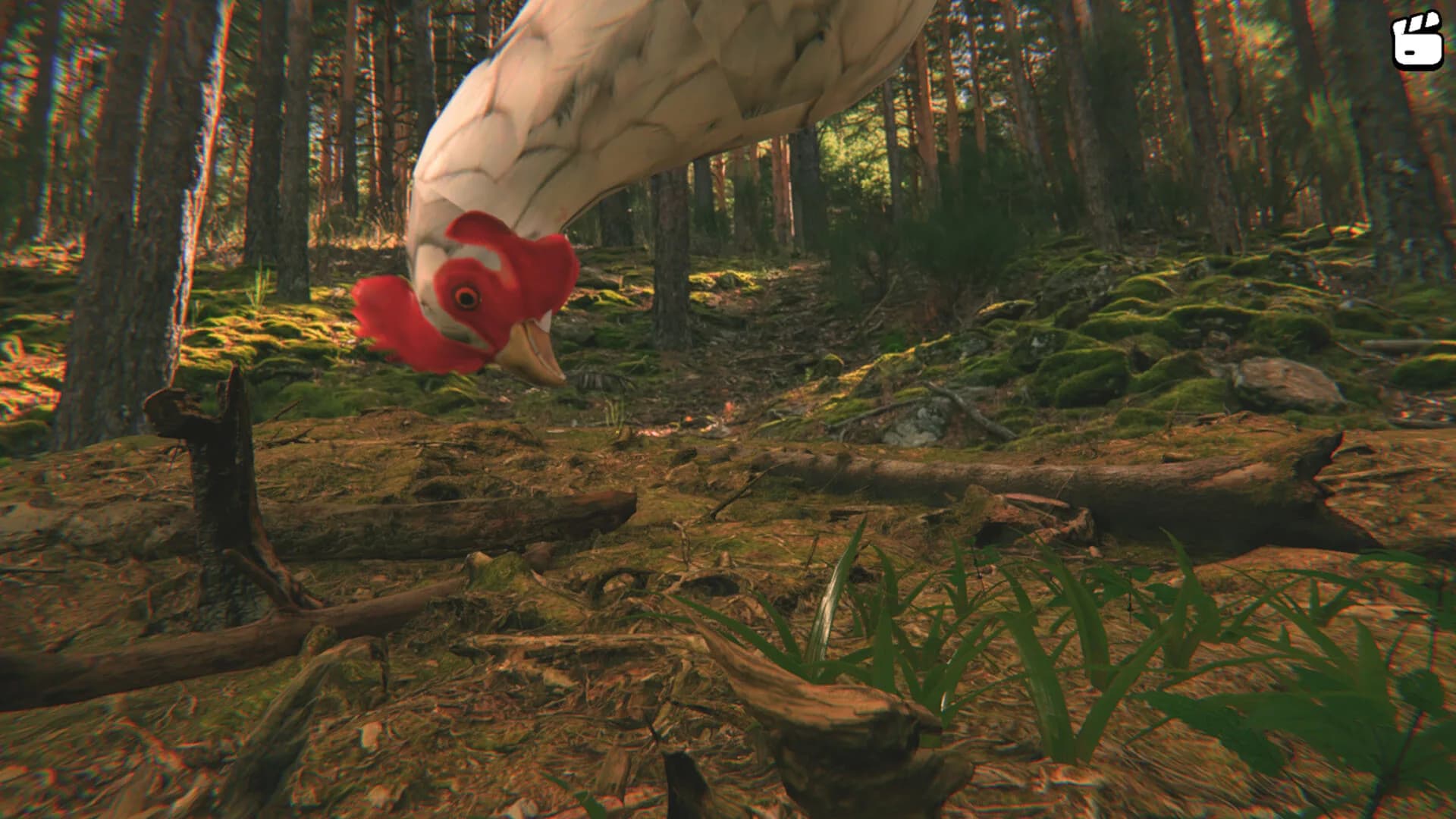 Catch the Chiken görsel 6