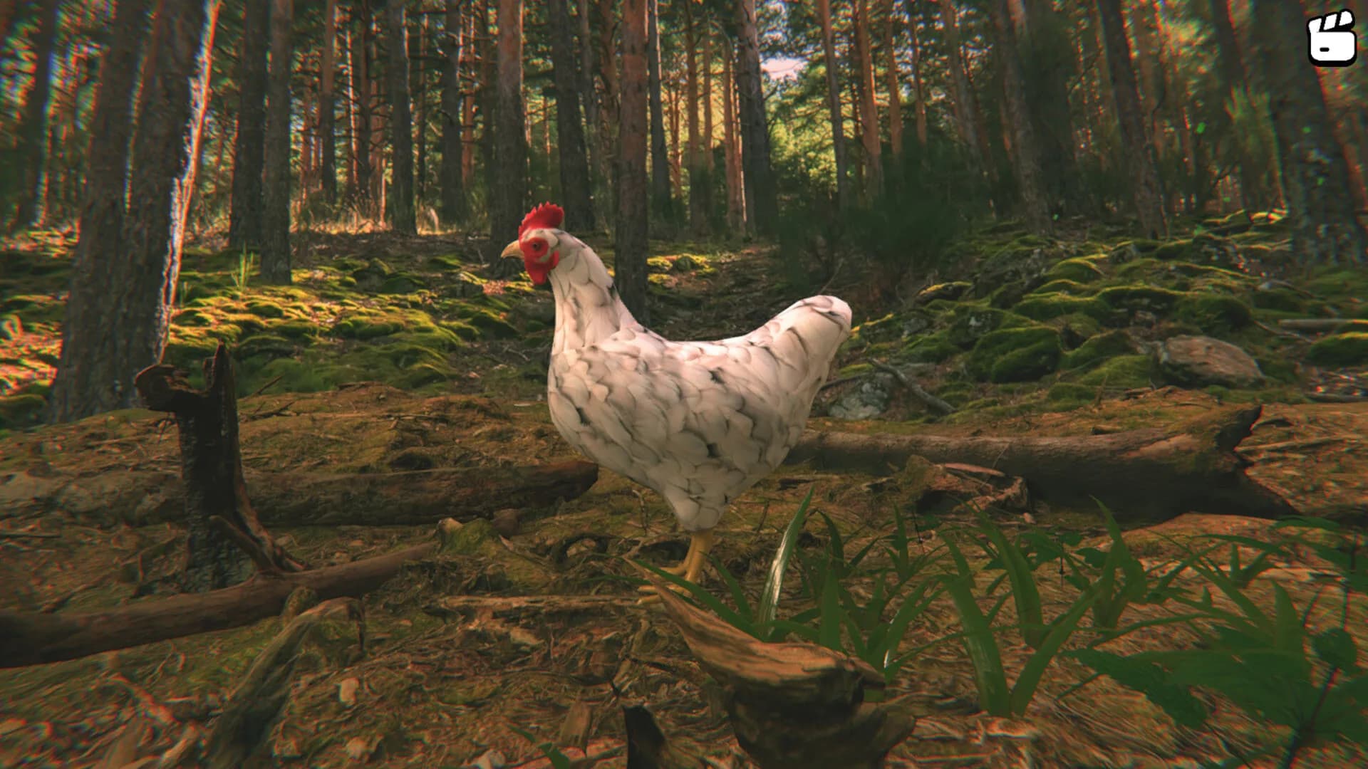 Catch the Chiken görsel 7