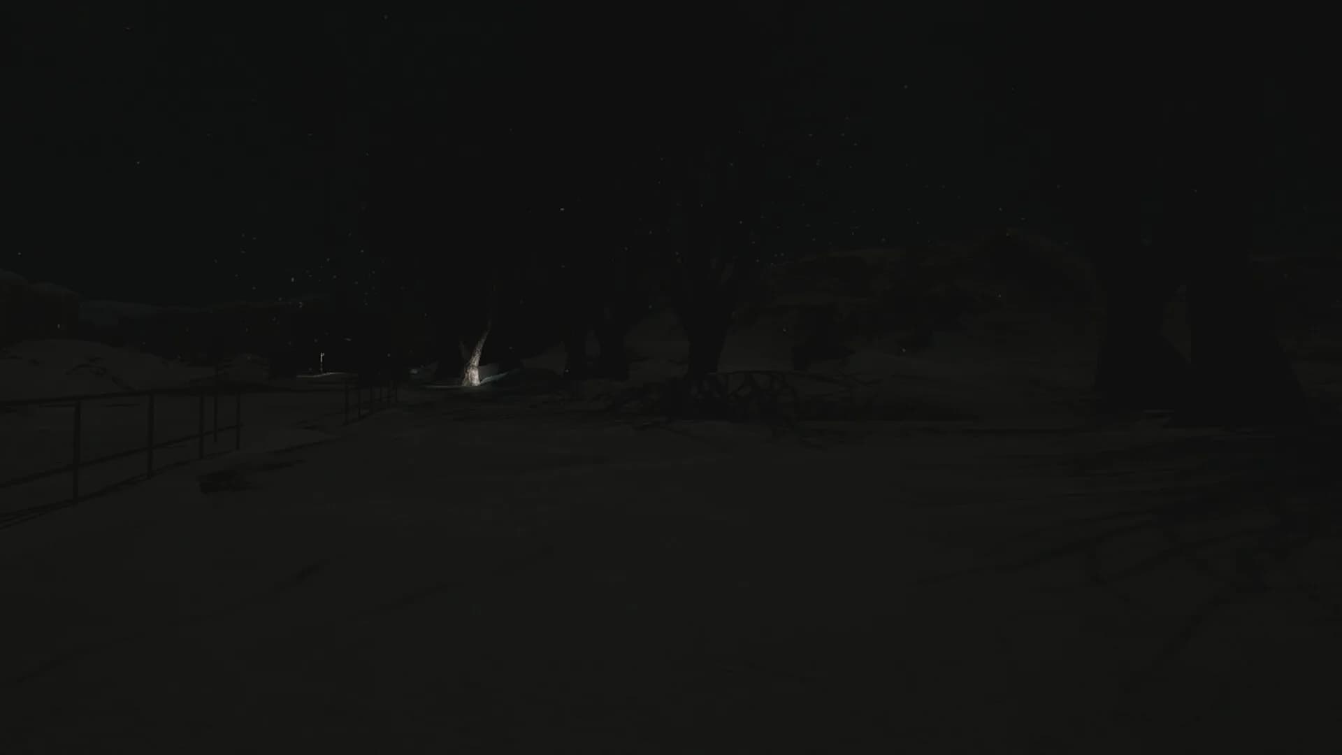 Silent Snow görsel 4