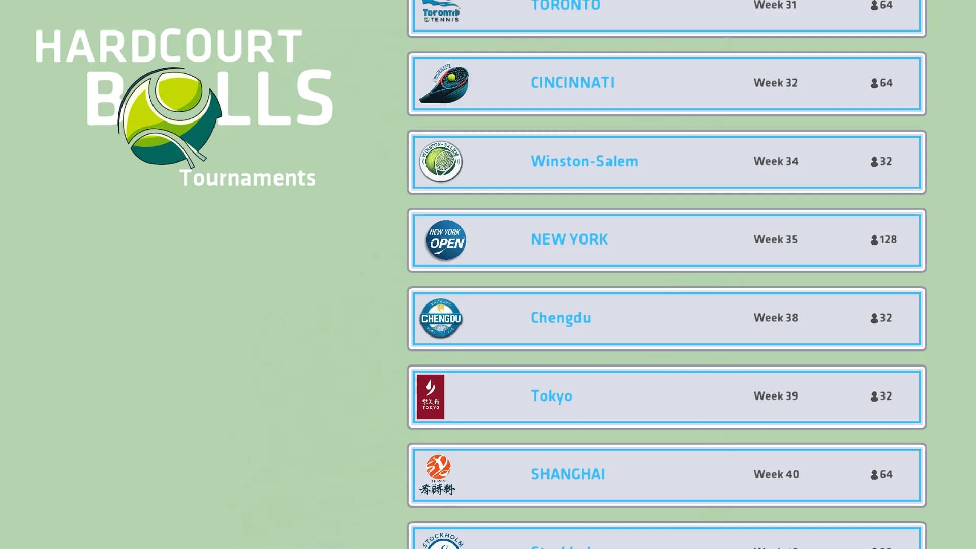 Hardcourt Balls görsel 7