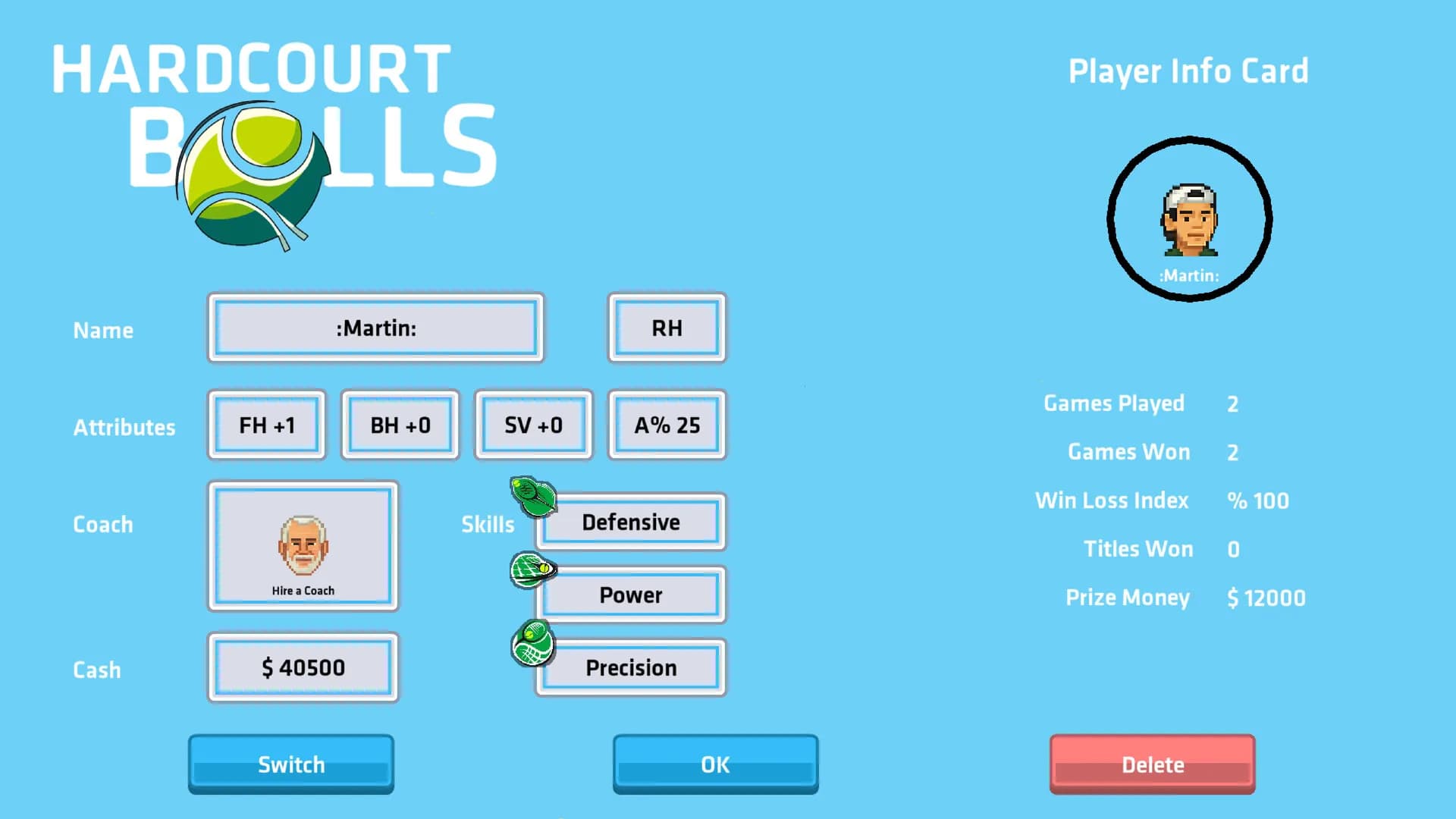 Hardcourt Balls görsel 8