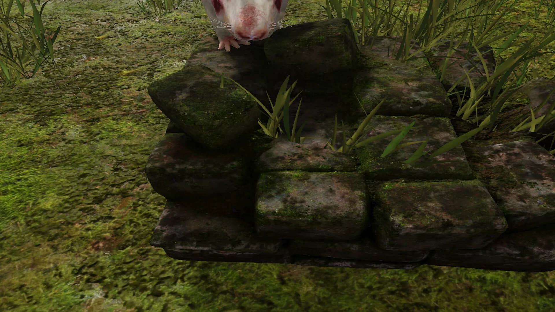 Survival Quest Dungeons and the Beasts görsel 10