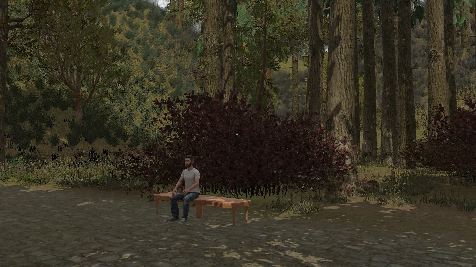 Whispers of Appalachia görsel 13