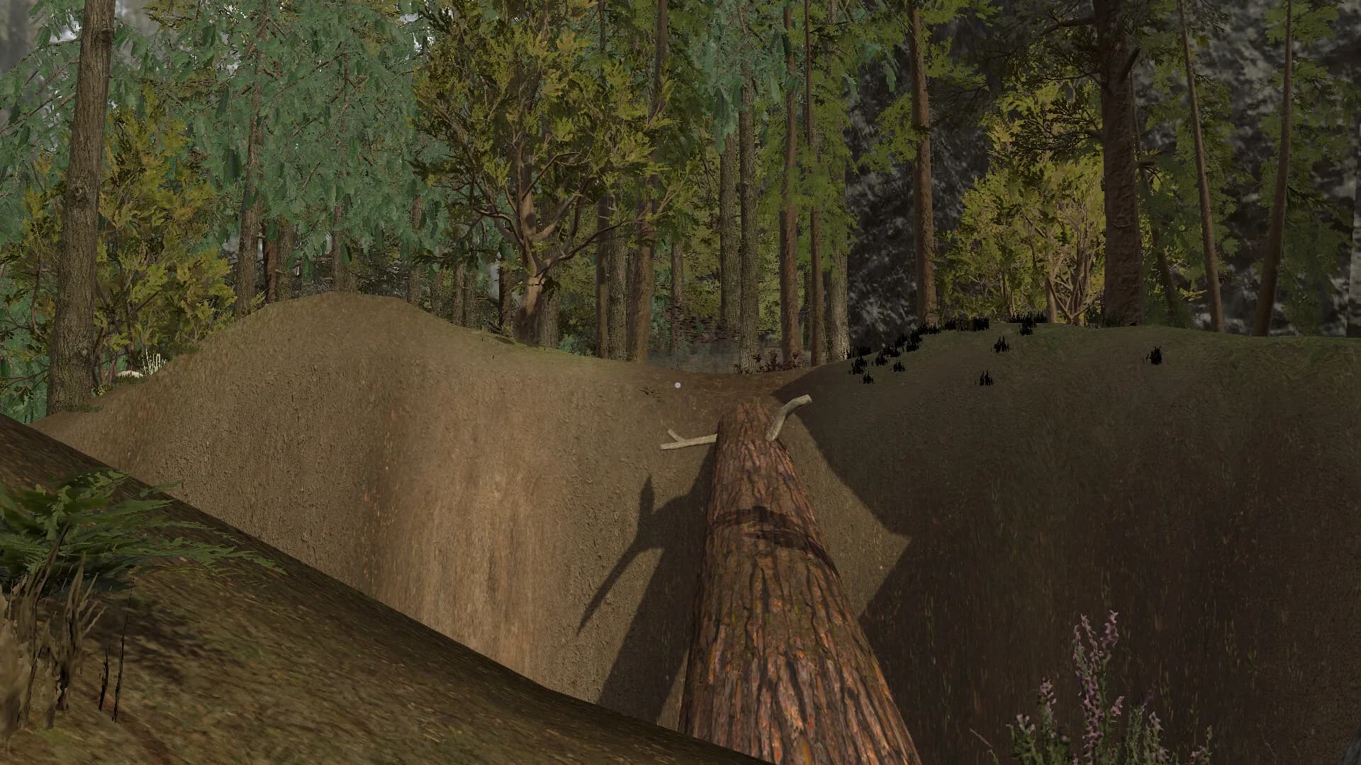 Whispers of Appalachia görsel 5