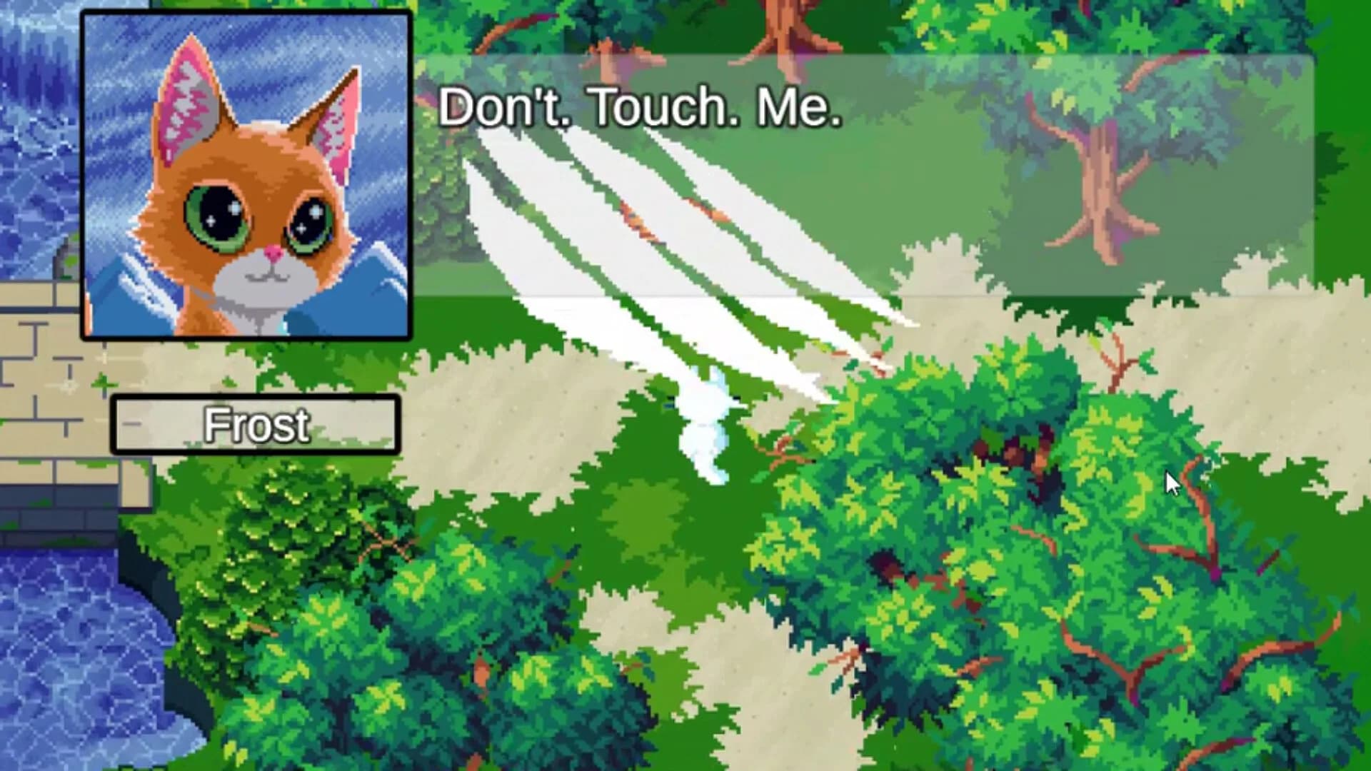 It wasn’t meow görsel 6