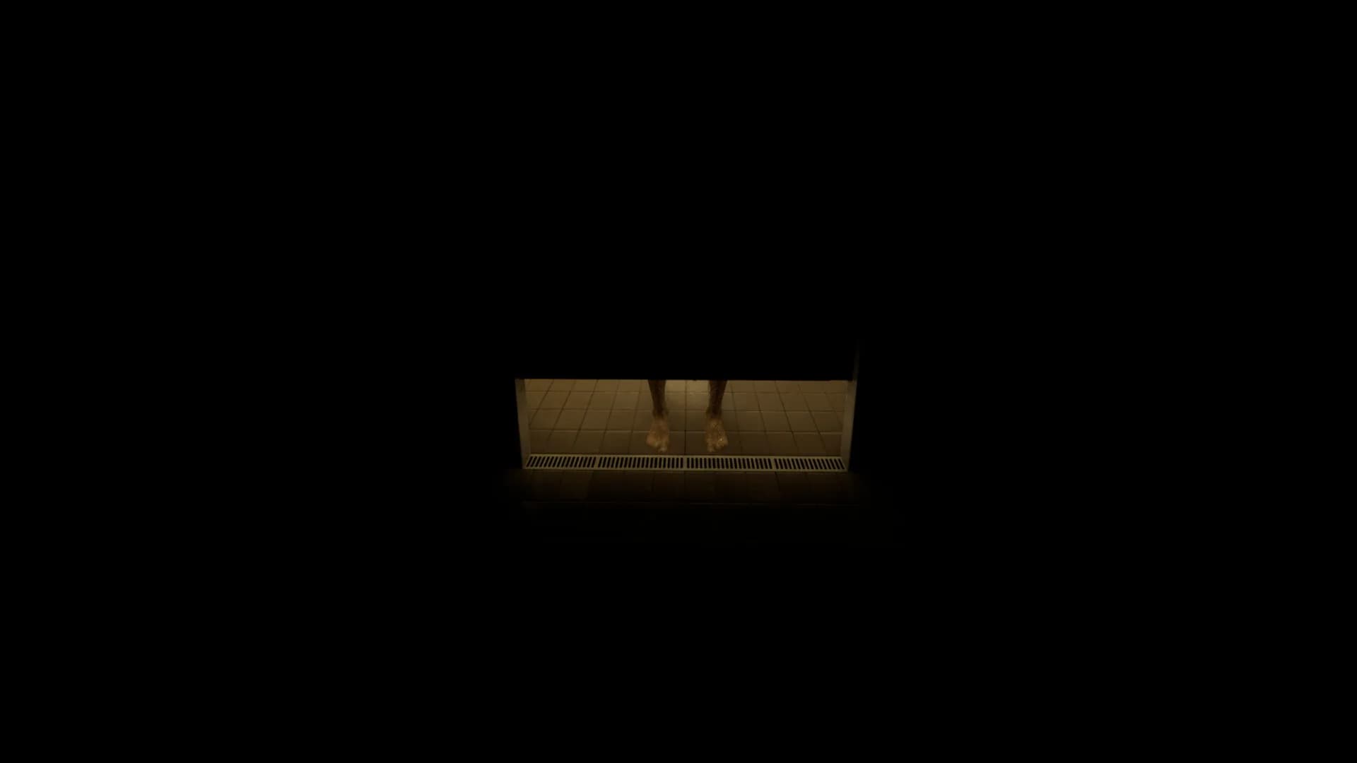 PoolooP görsel 5