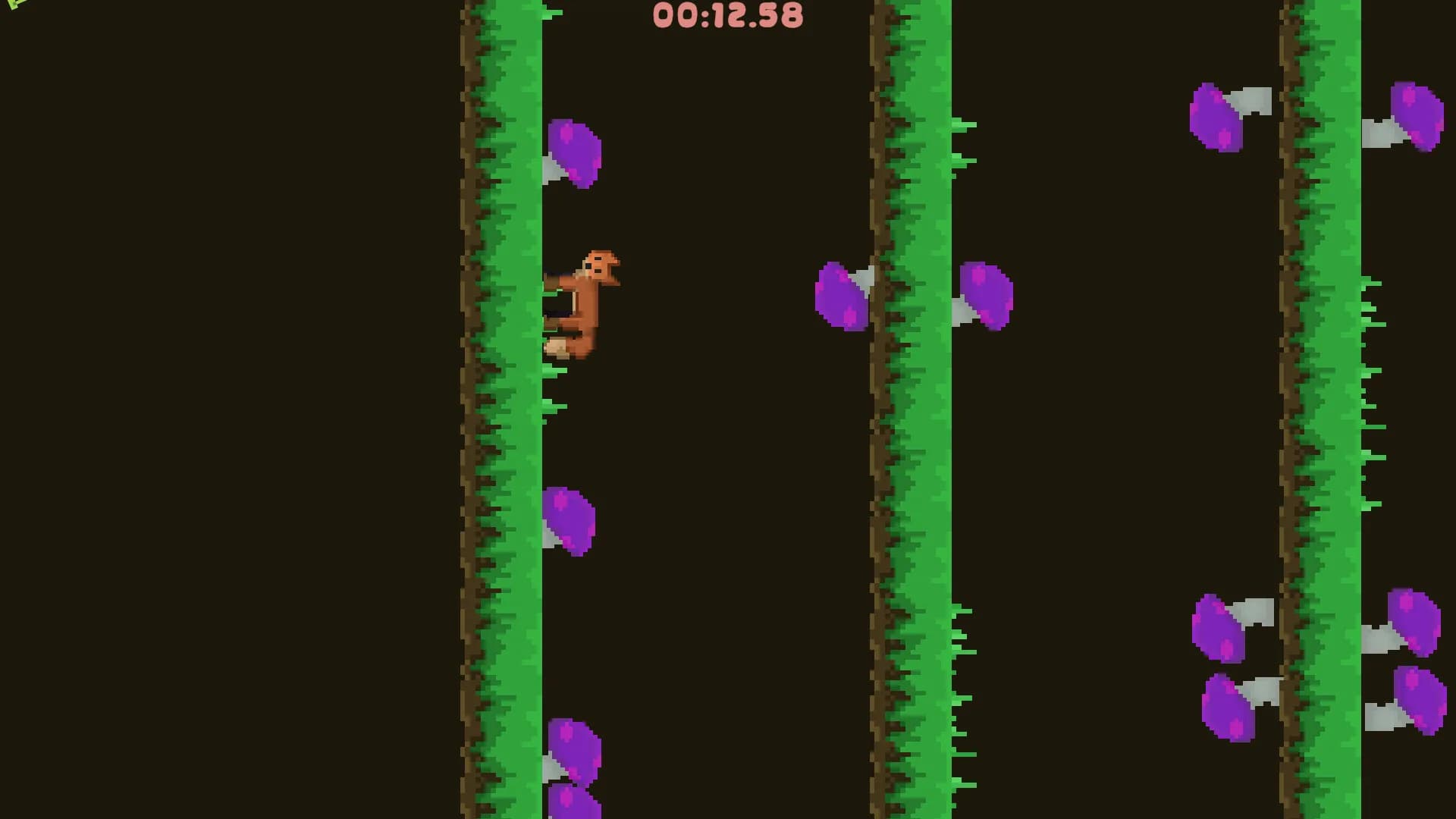 Quick Brown görsel 3