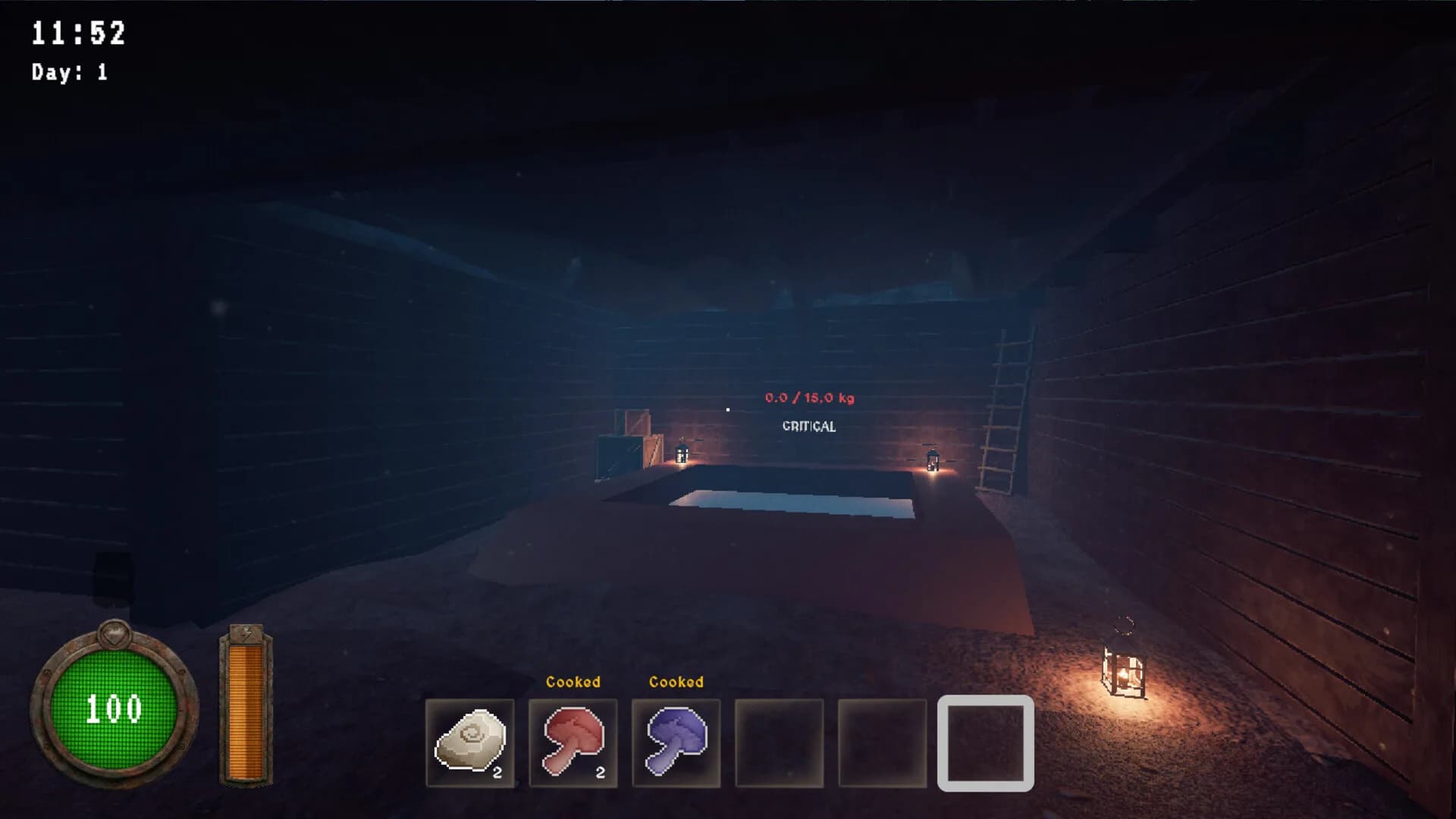 VeinLight görsel 4