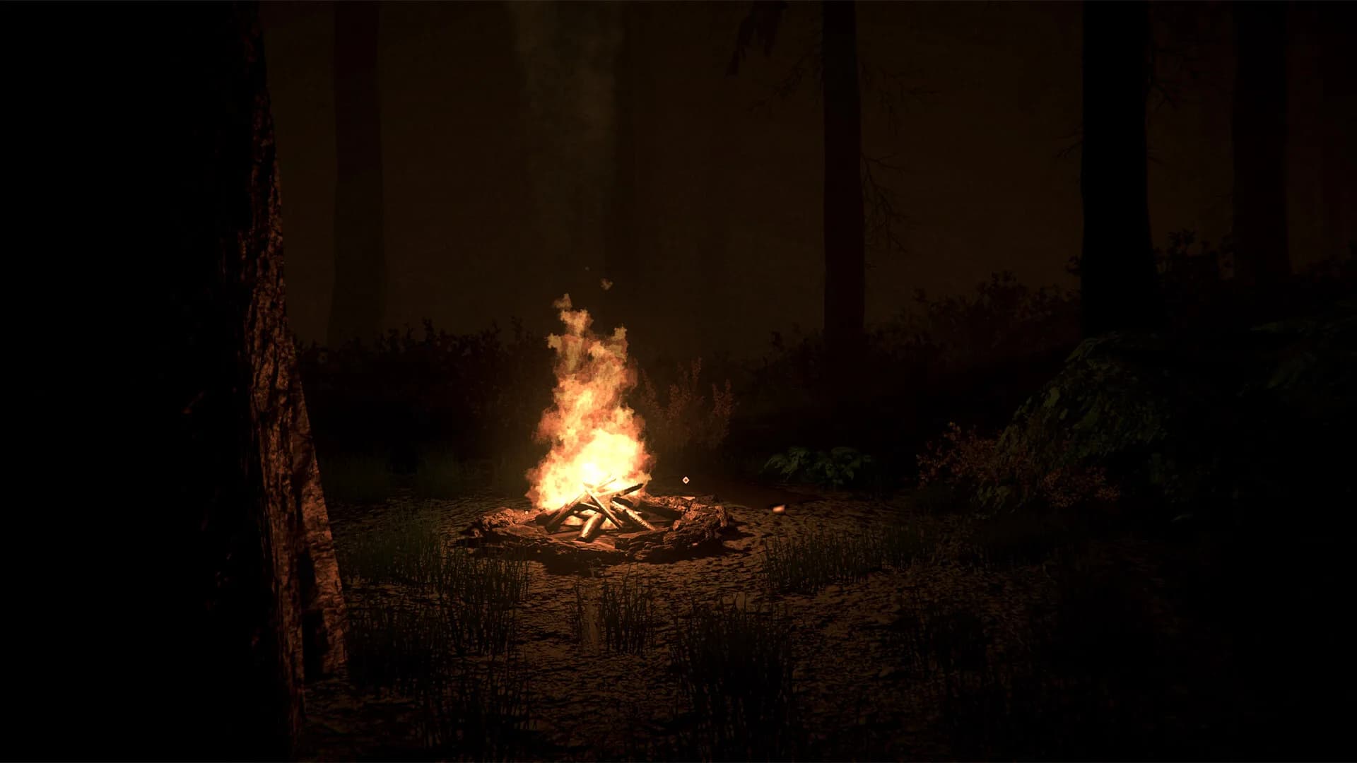 Shroud of the Woods görsel 7
