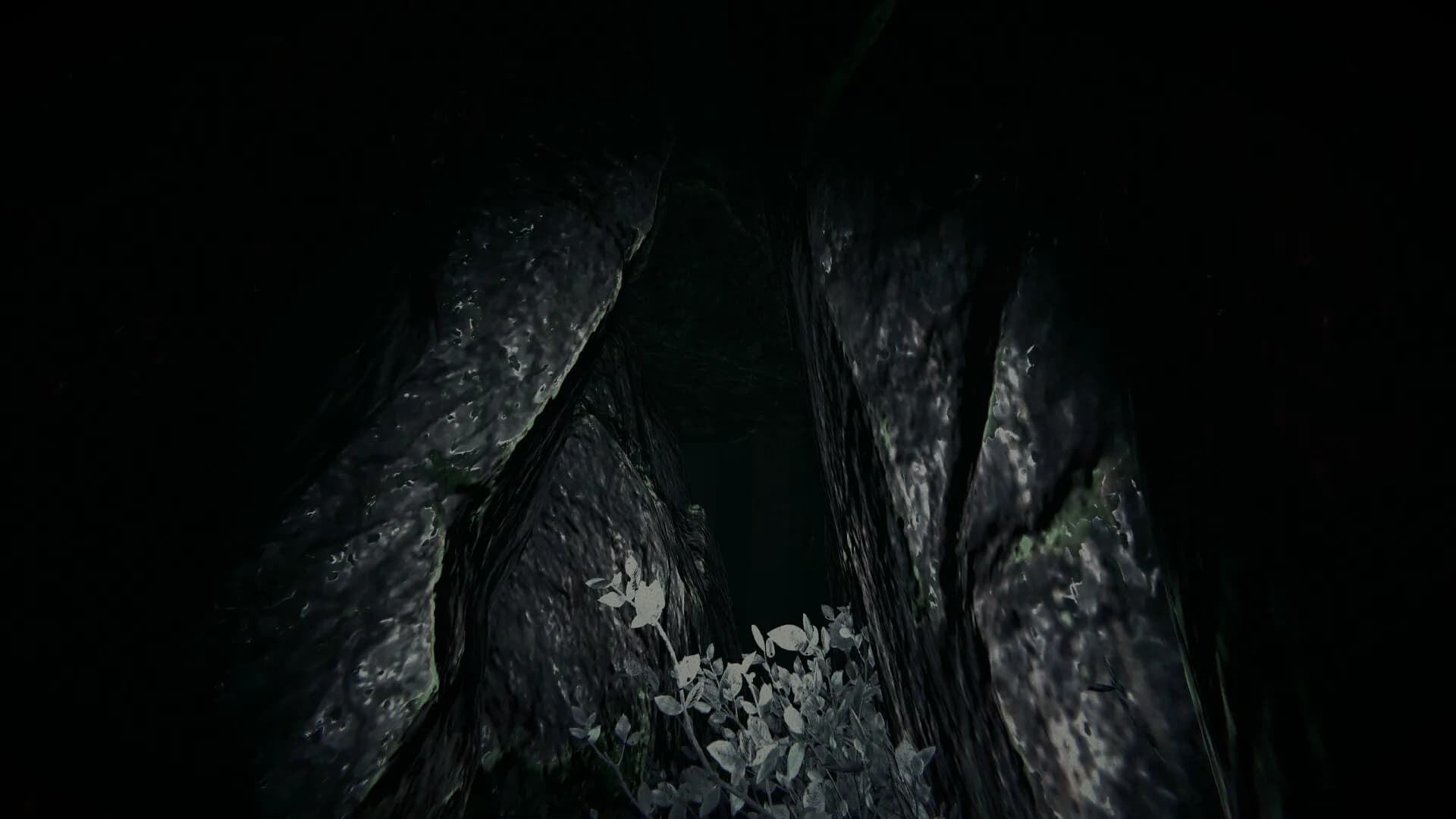 Shroud of the Woods görsel 8