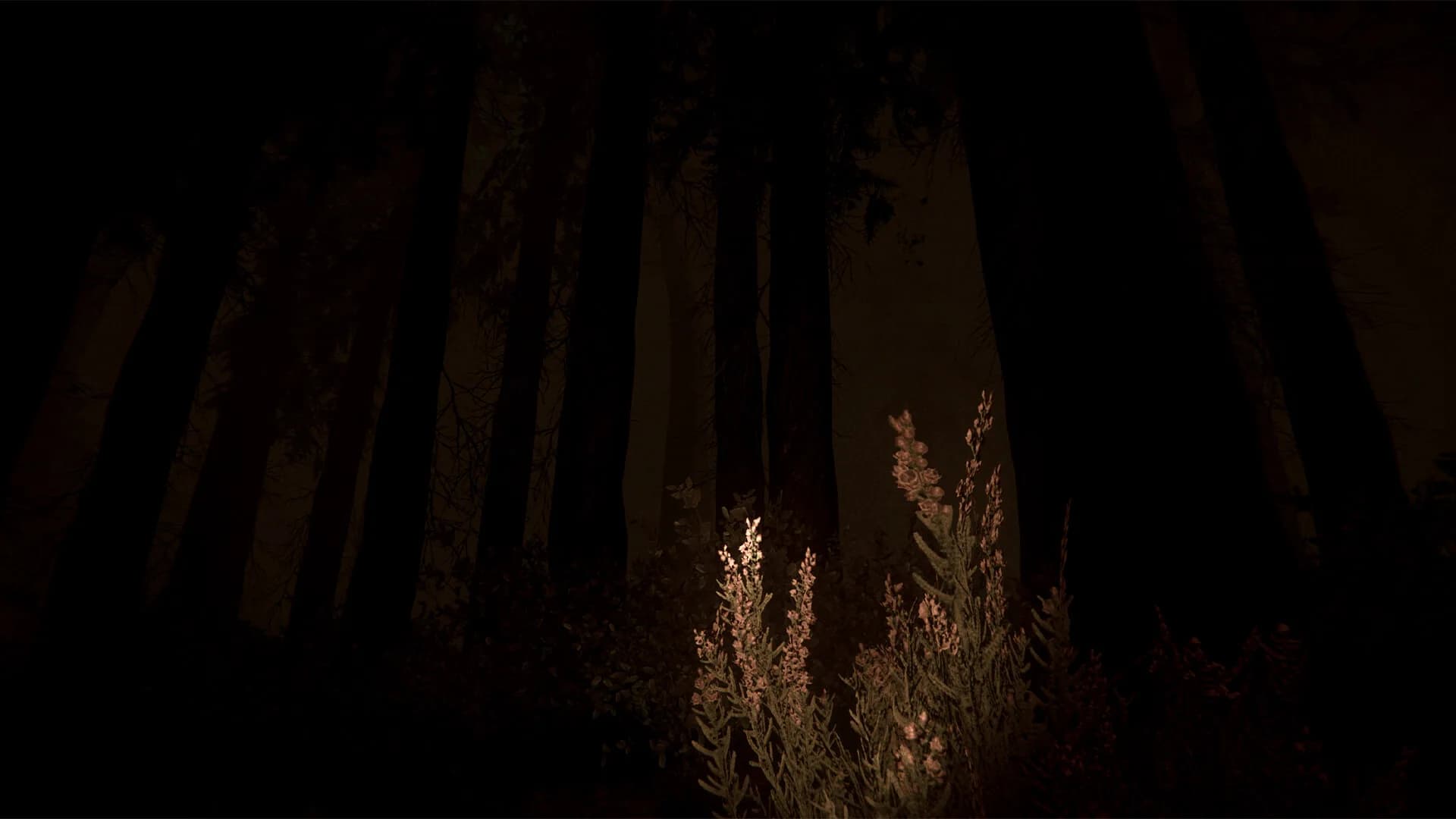 Shroud of the Woods görsel 9
