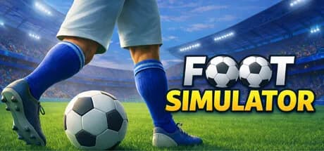 Foot Simulator