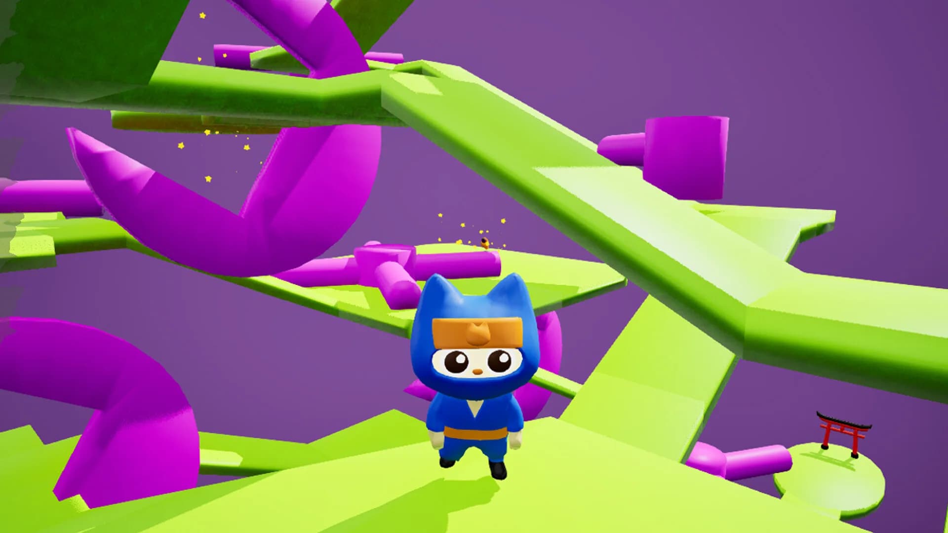NinjaCat görsel 3