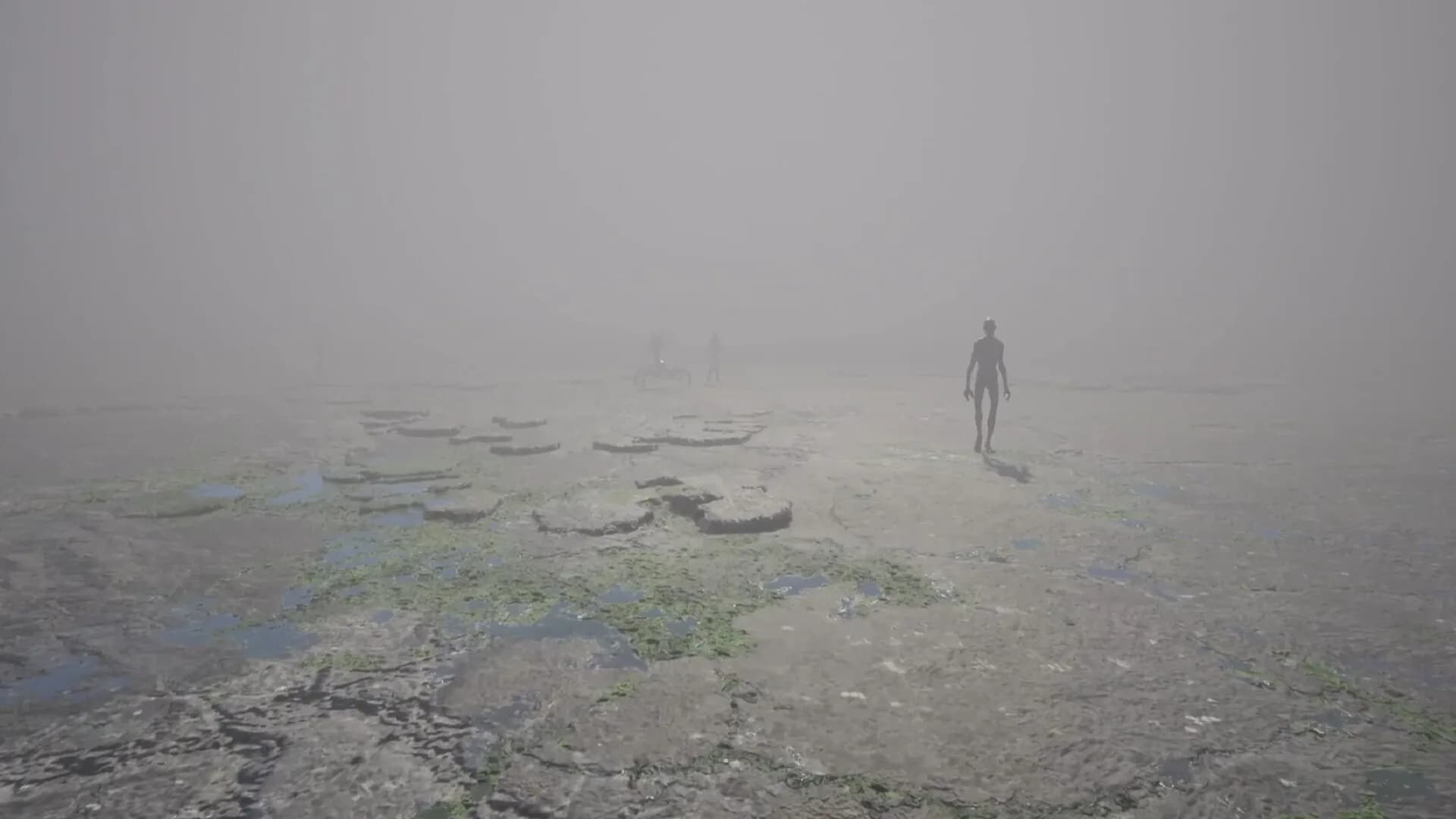 Fog görsel 12