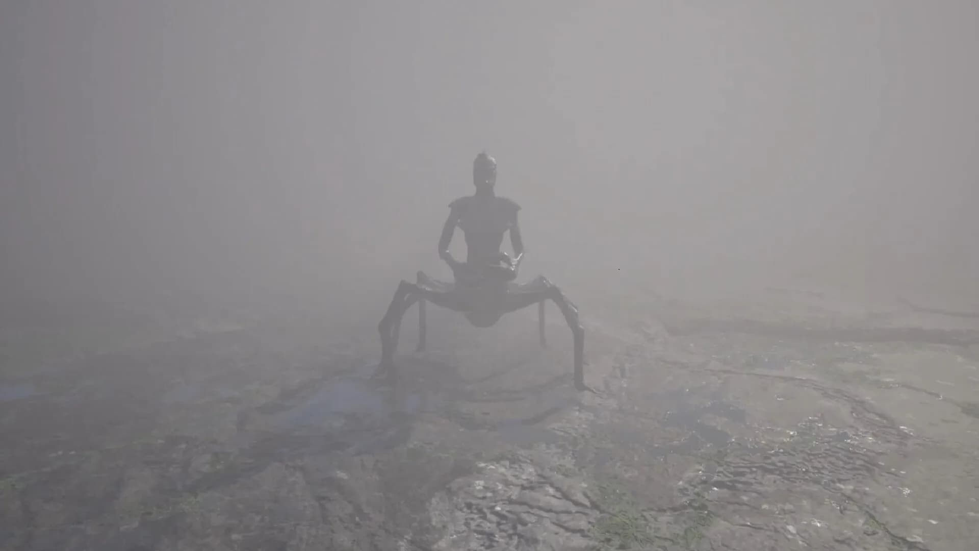 Fog görsel 8