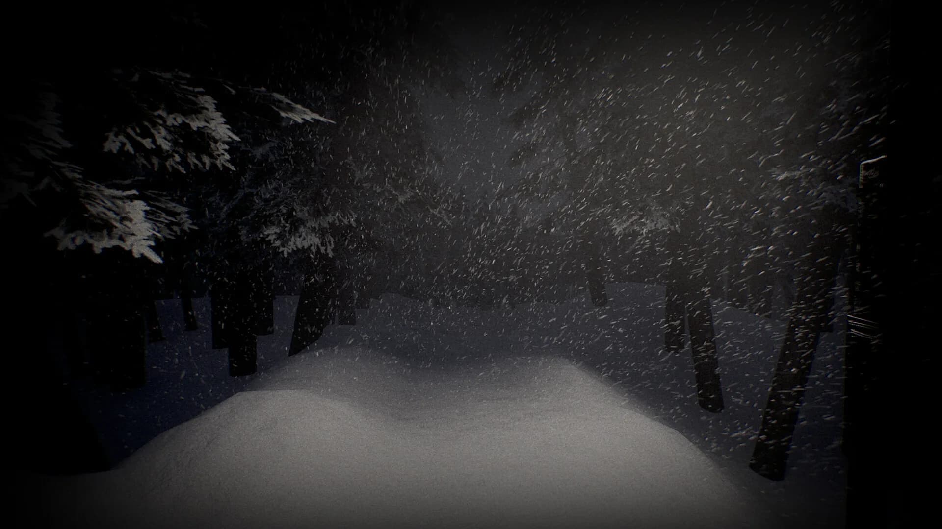 White Silence görsel 3