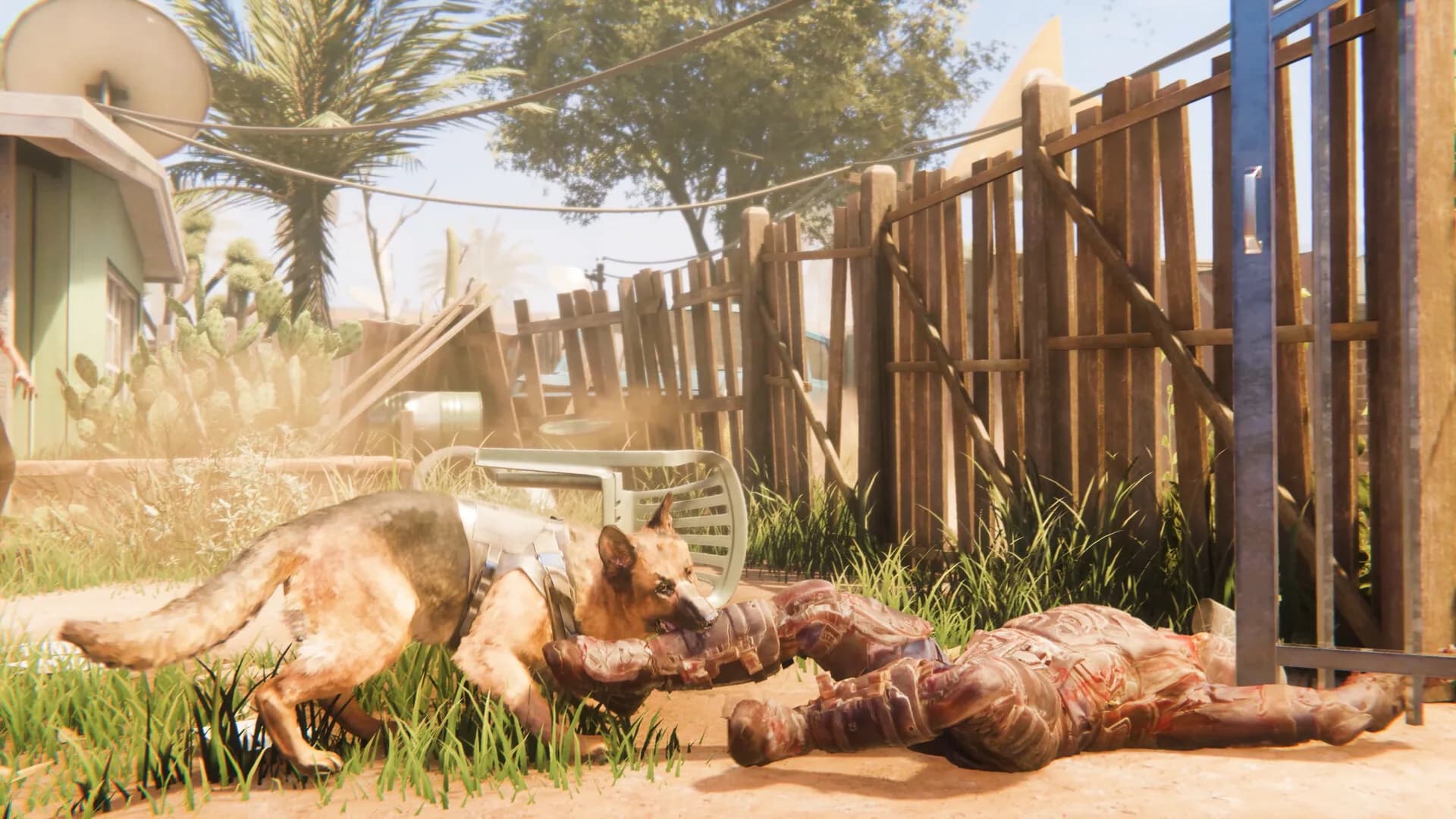 Arizona Sunshine® görsel 7