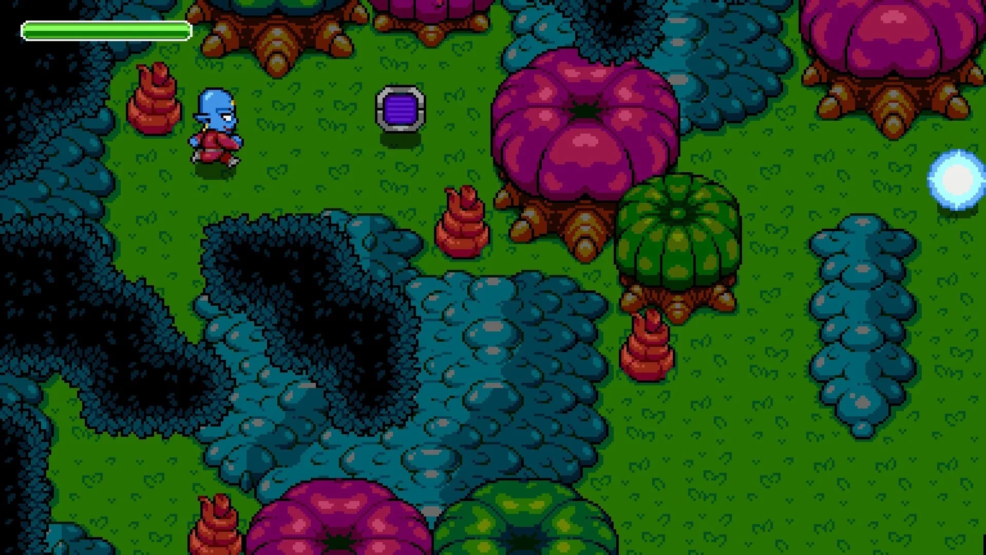Bodzin görsel 5