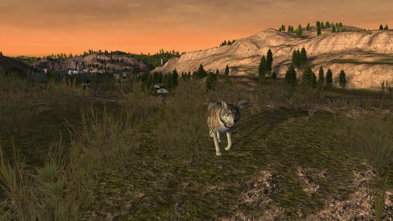 WolfQuest: Classic görsel 13