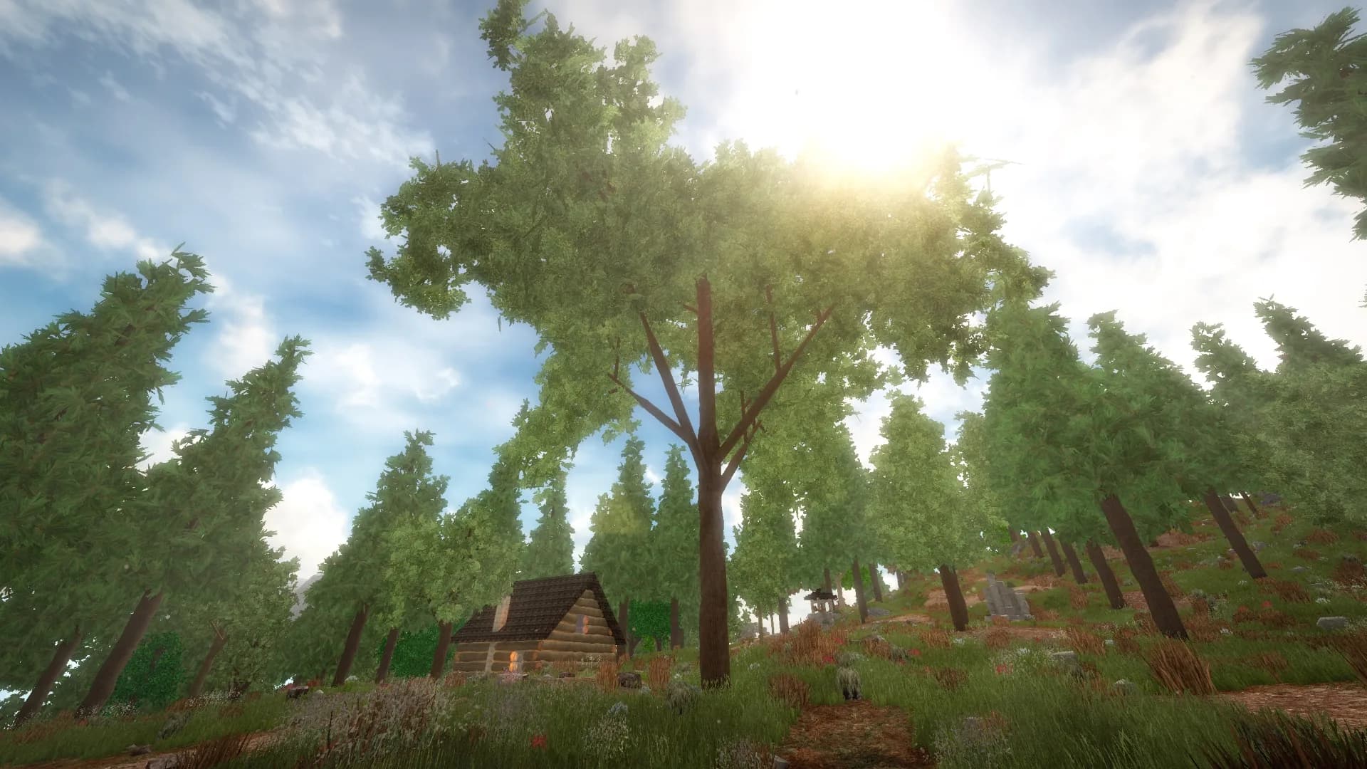 Alchemist's Awakening görsel 6