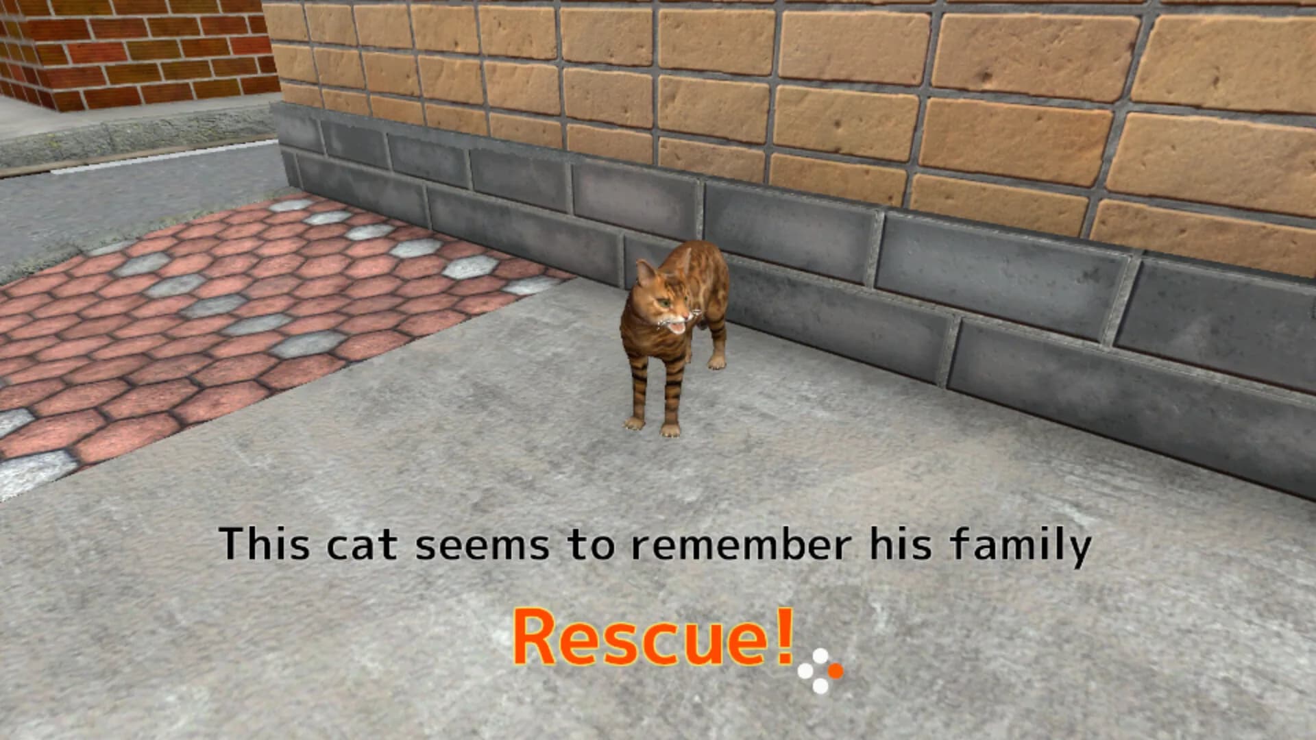 Rescue Over 100 Town Cats görsel 4