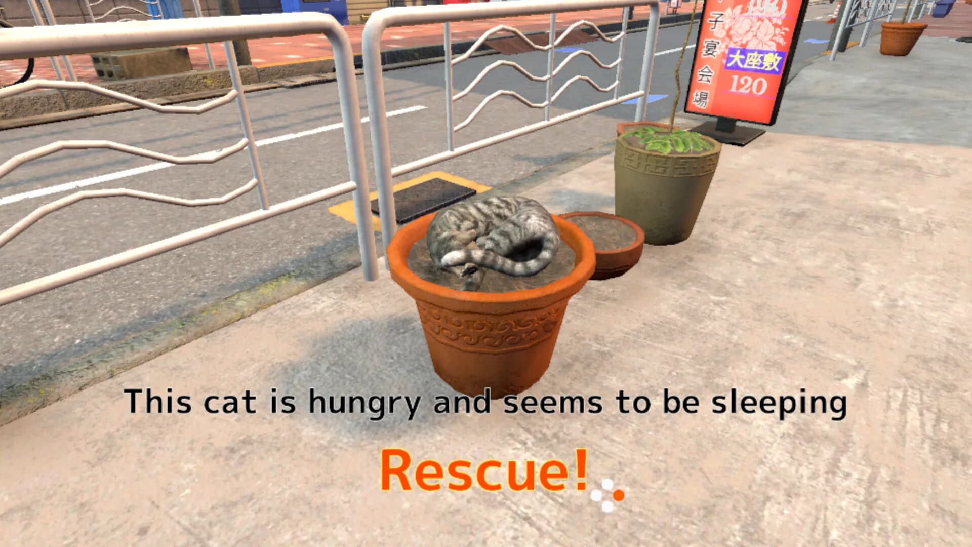 Rescue Over 100 Town Cats görsel 6