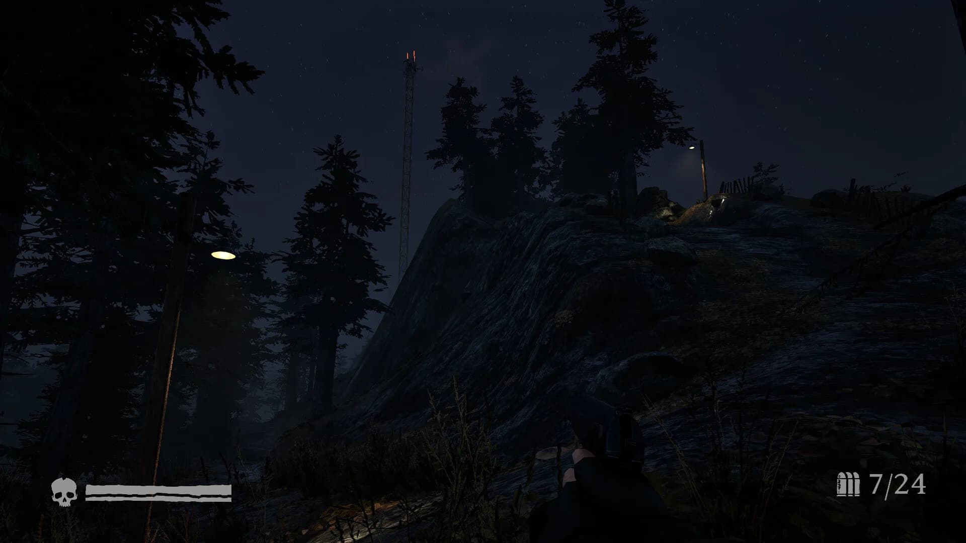 Pale Hunt görsel 10
