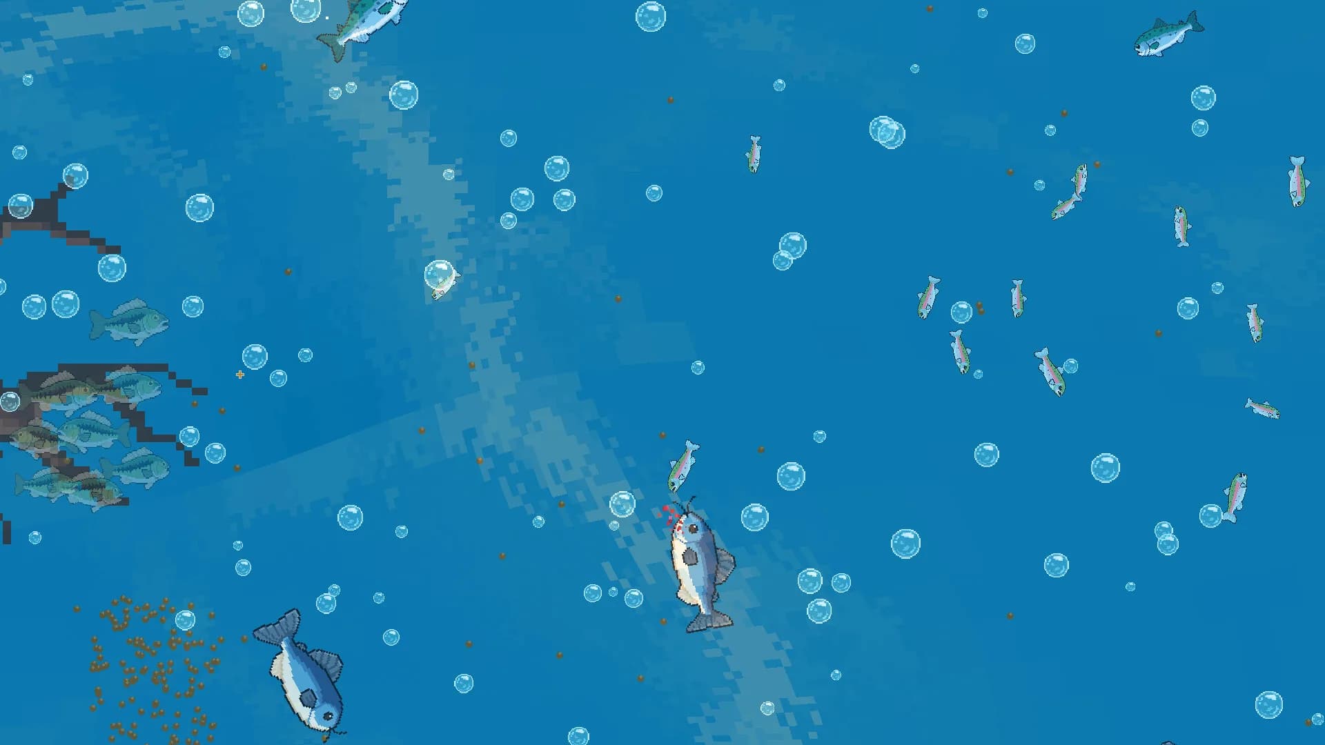 FishPond görsel 2