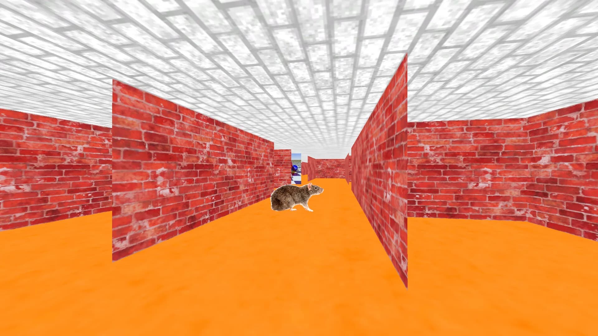 Maze 95 Ultimate görsel 3