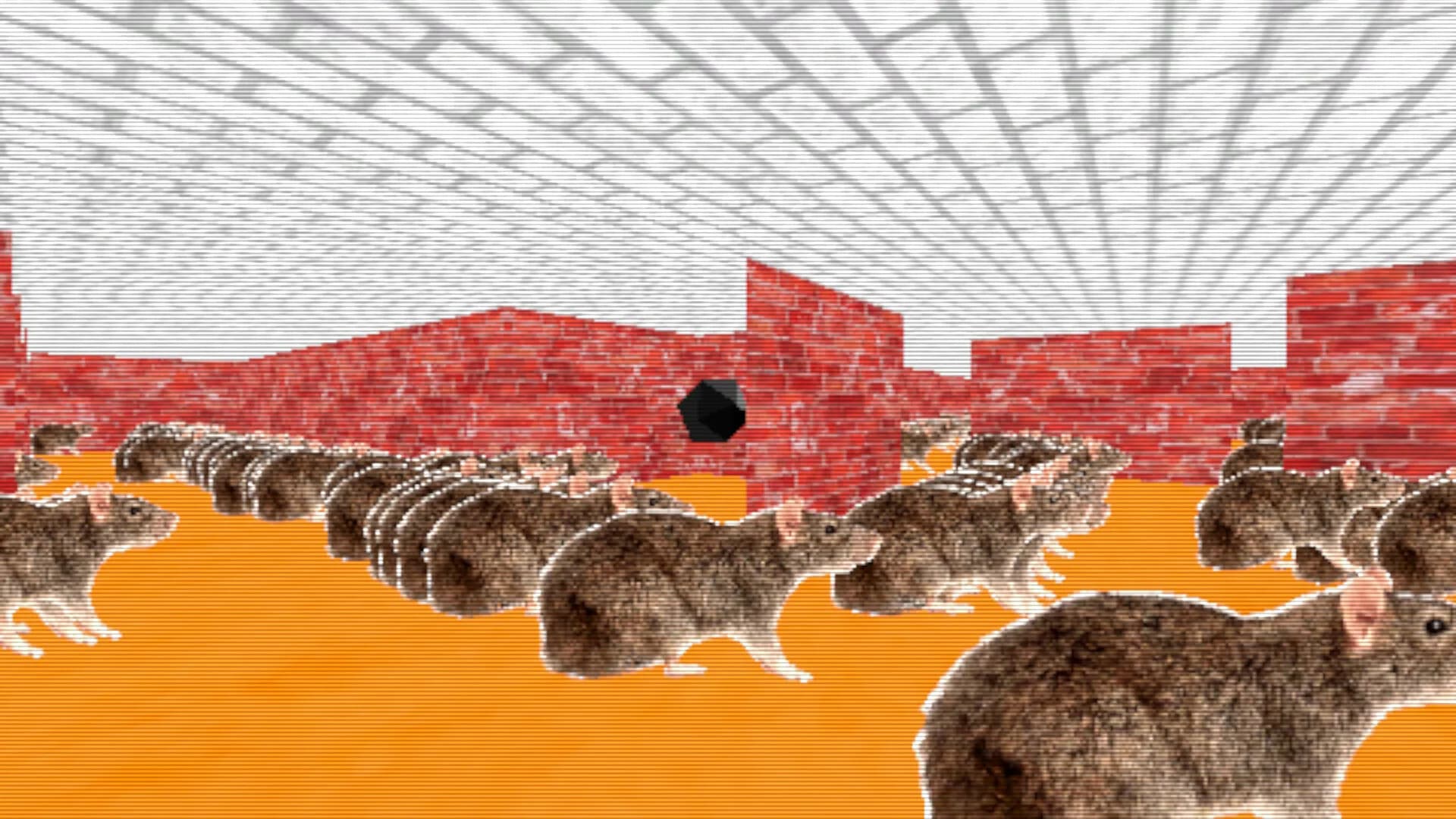 Maze 95 Ultimate görsel 6