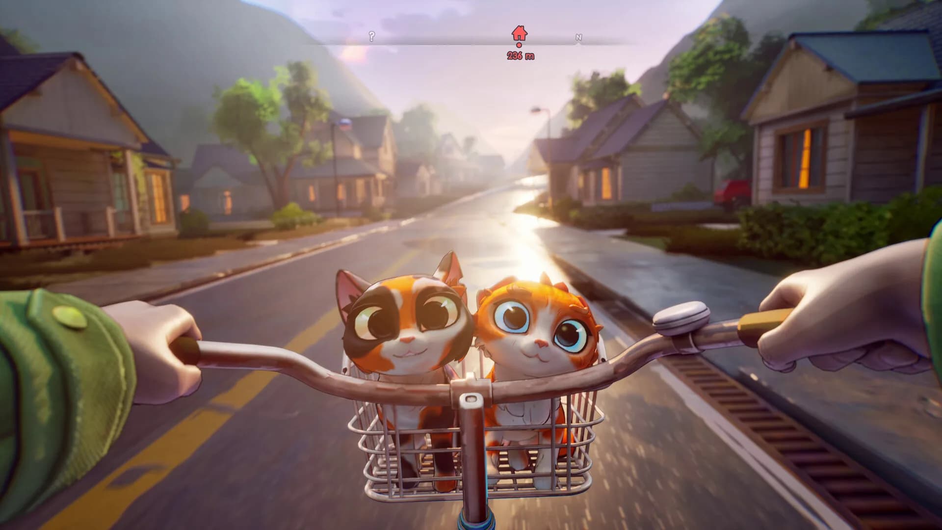 Cat Parents görsel 4