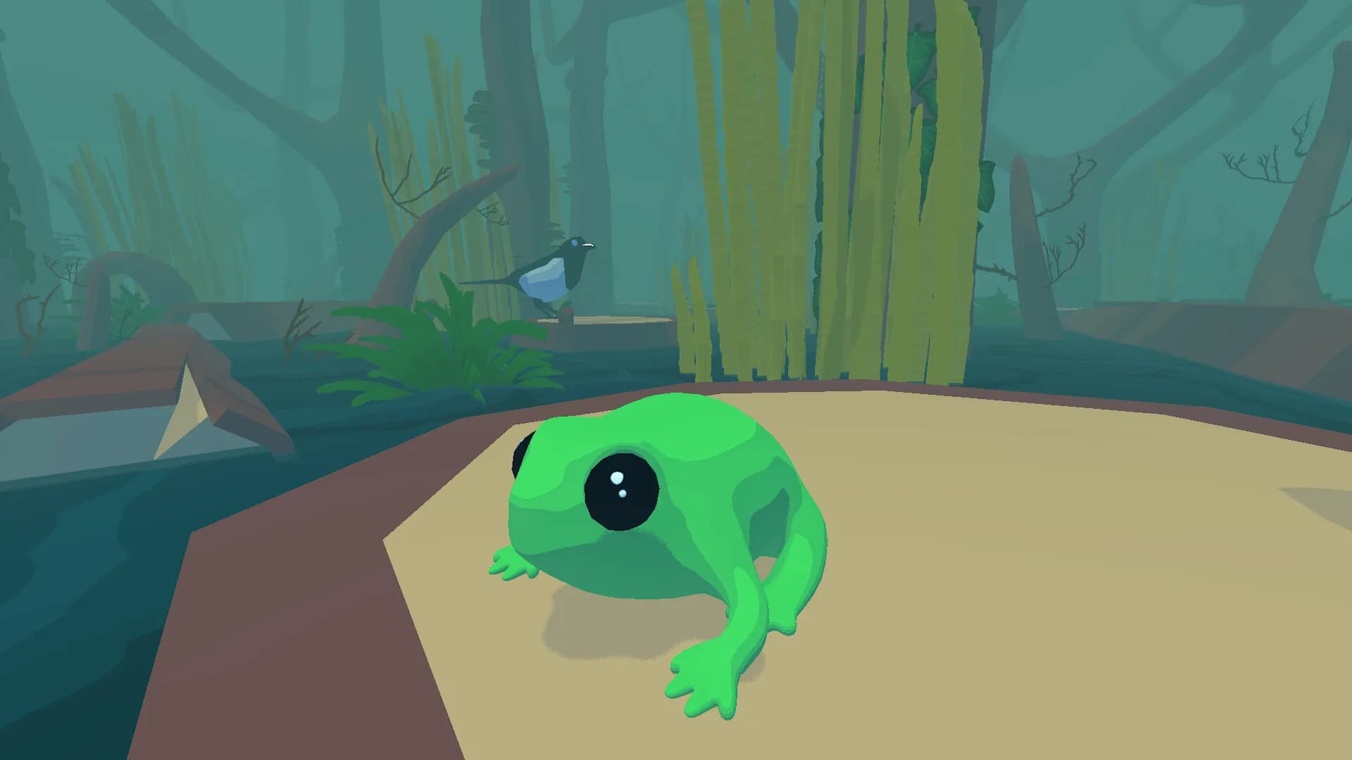 Focus Froggy görsel 2