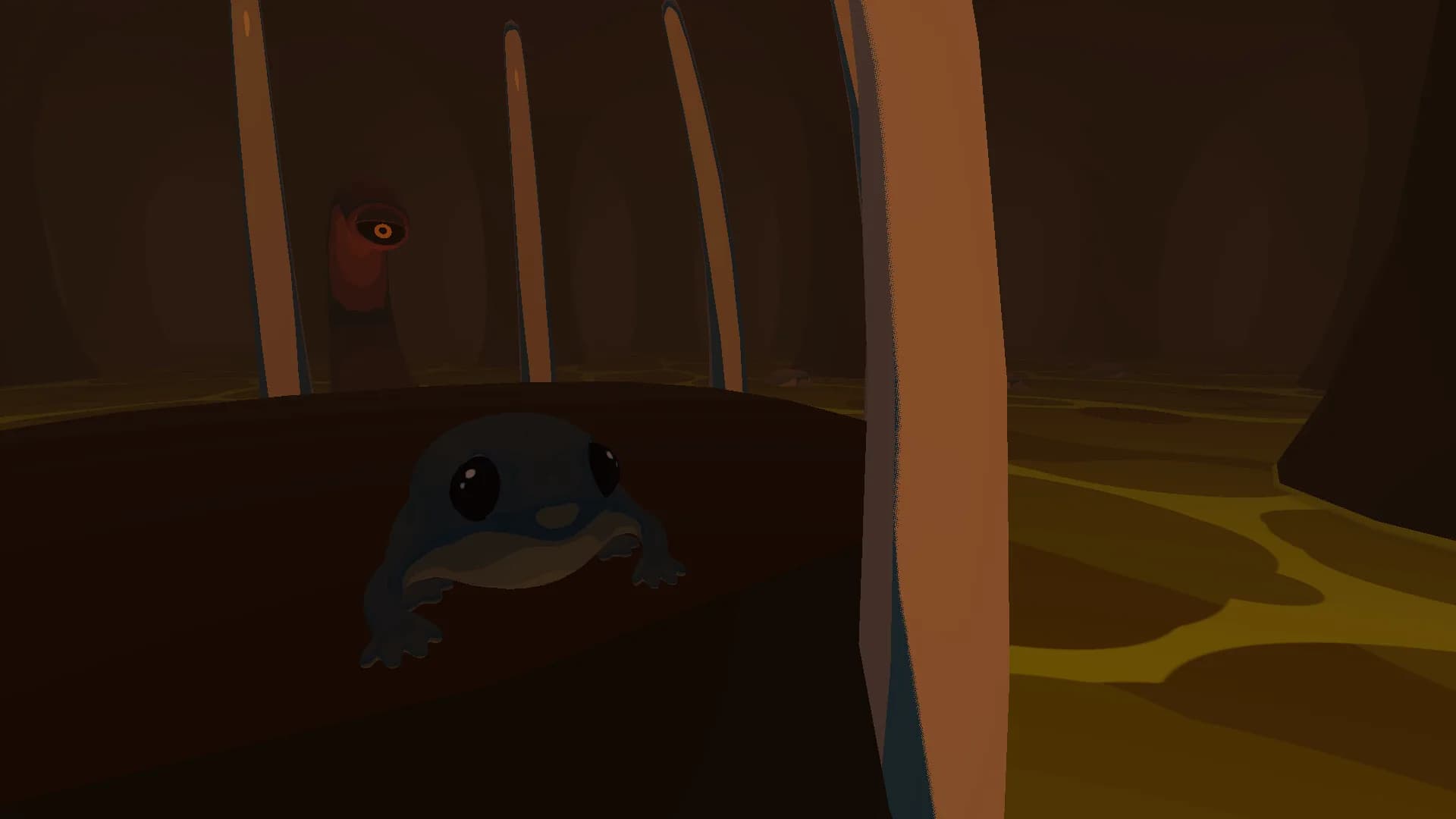 Focus Froggy görsel 4