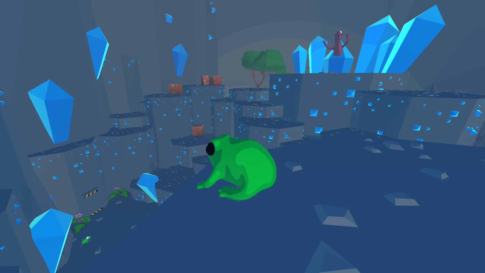 Focus Froggy görsel 7