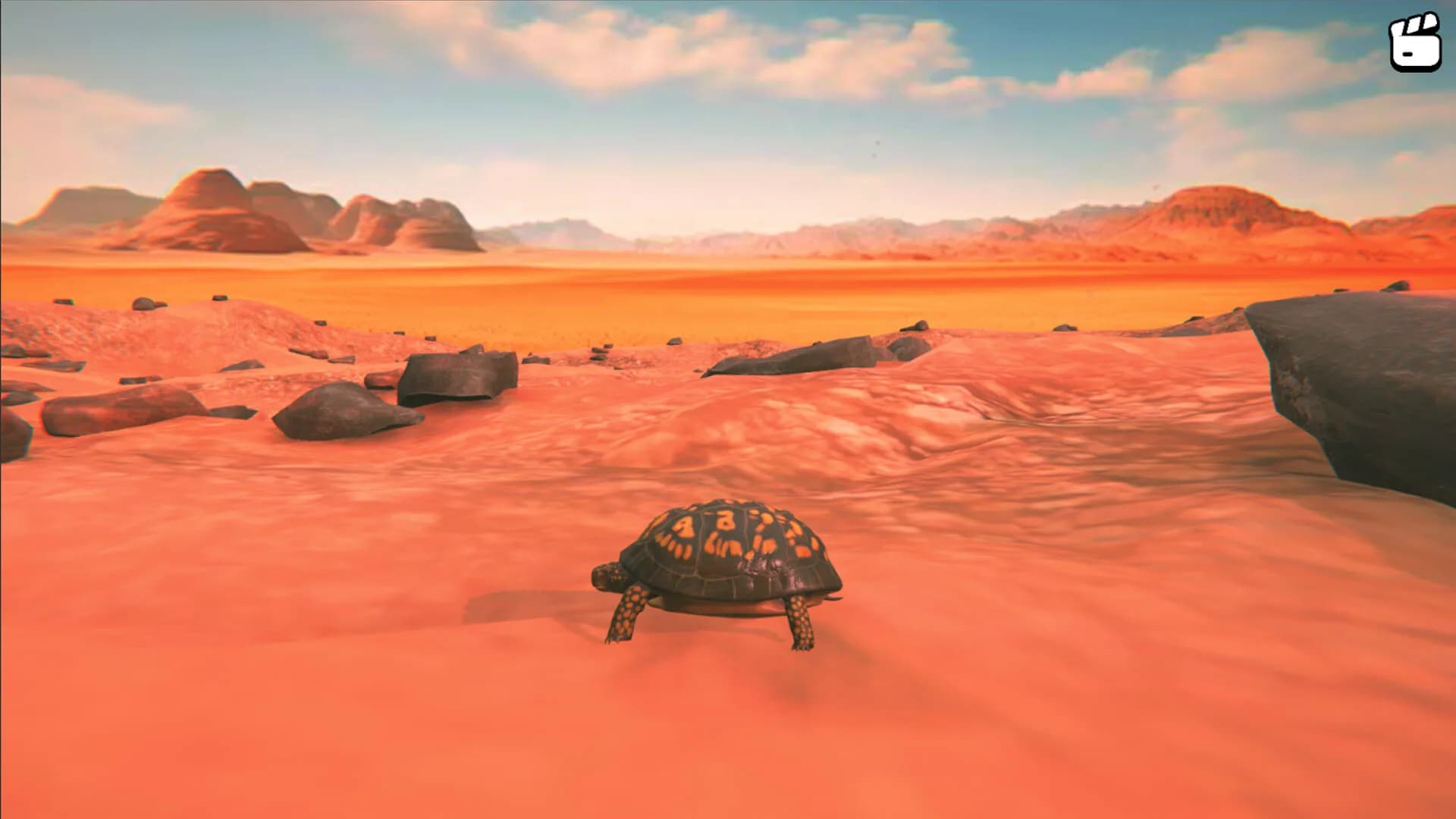 Catch the Turtle görsel 3