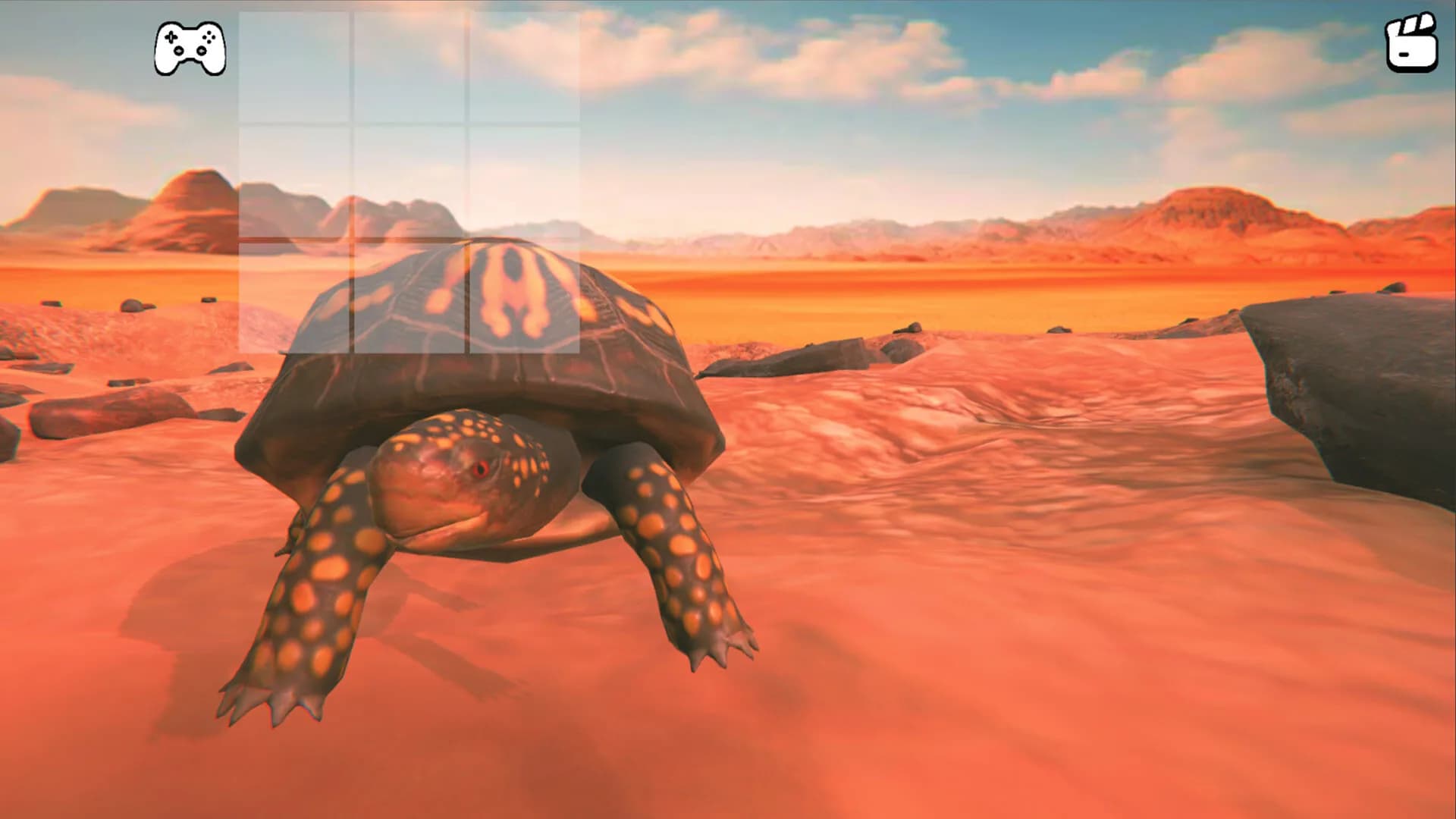 Catch the Turtle görsel 5