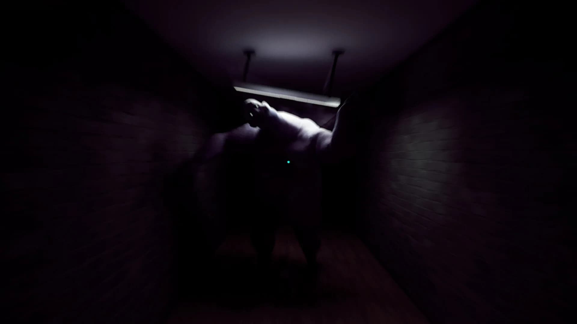 Plura Ingenia: Patient 16 görsel 9